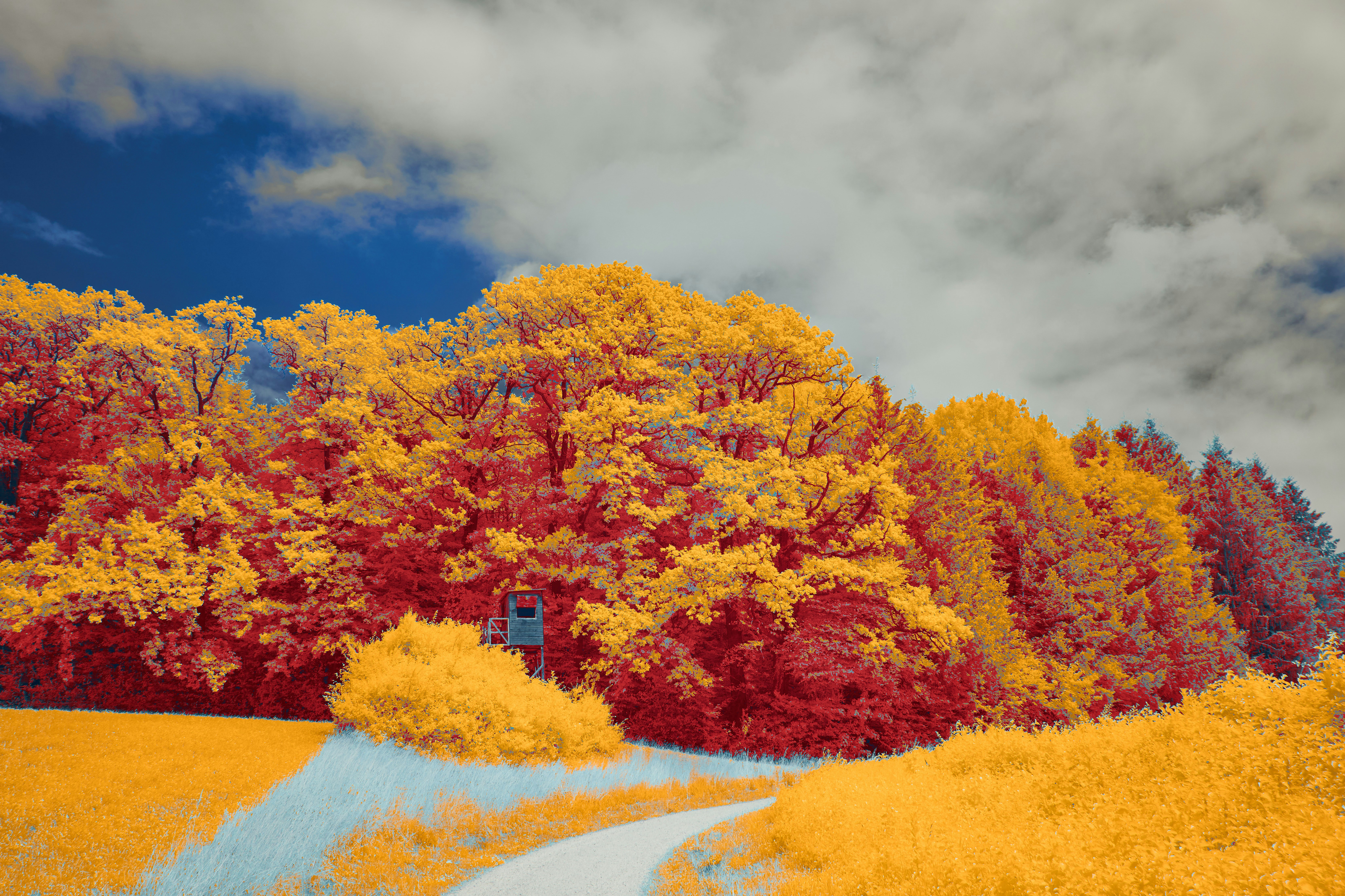 Photo by wolfgang_hasselmann