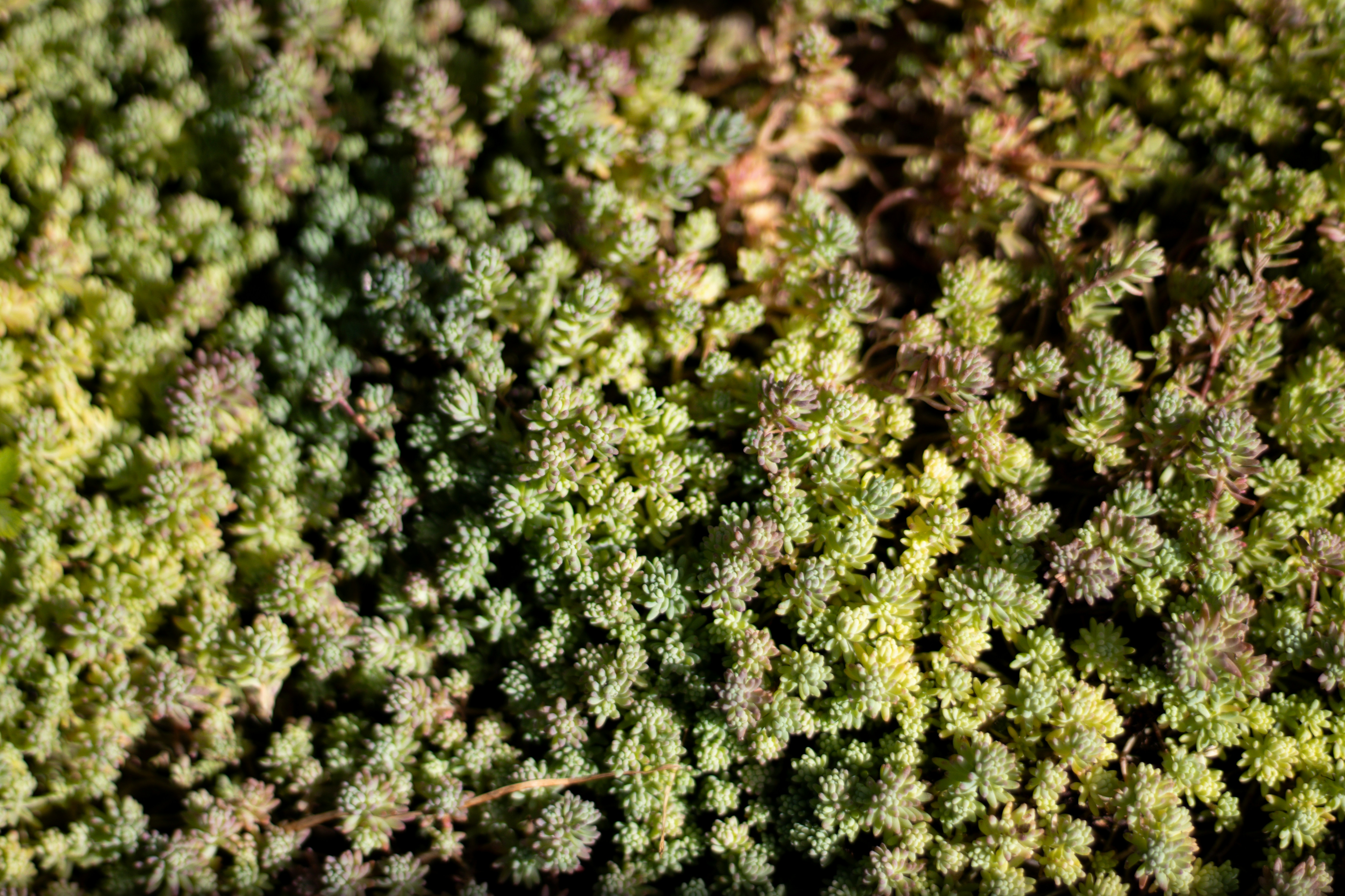 Photo by akshat_jhingran