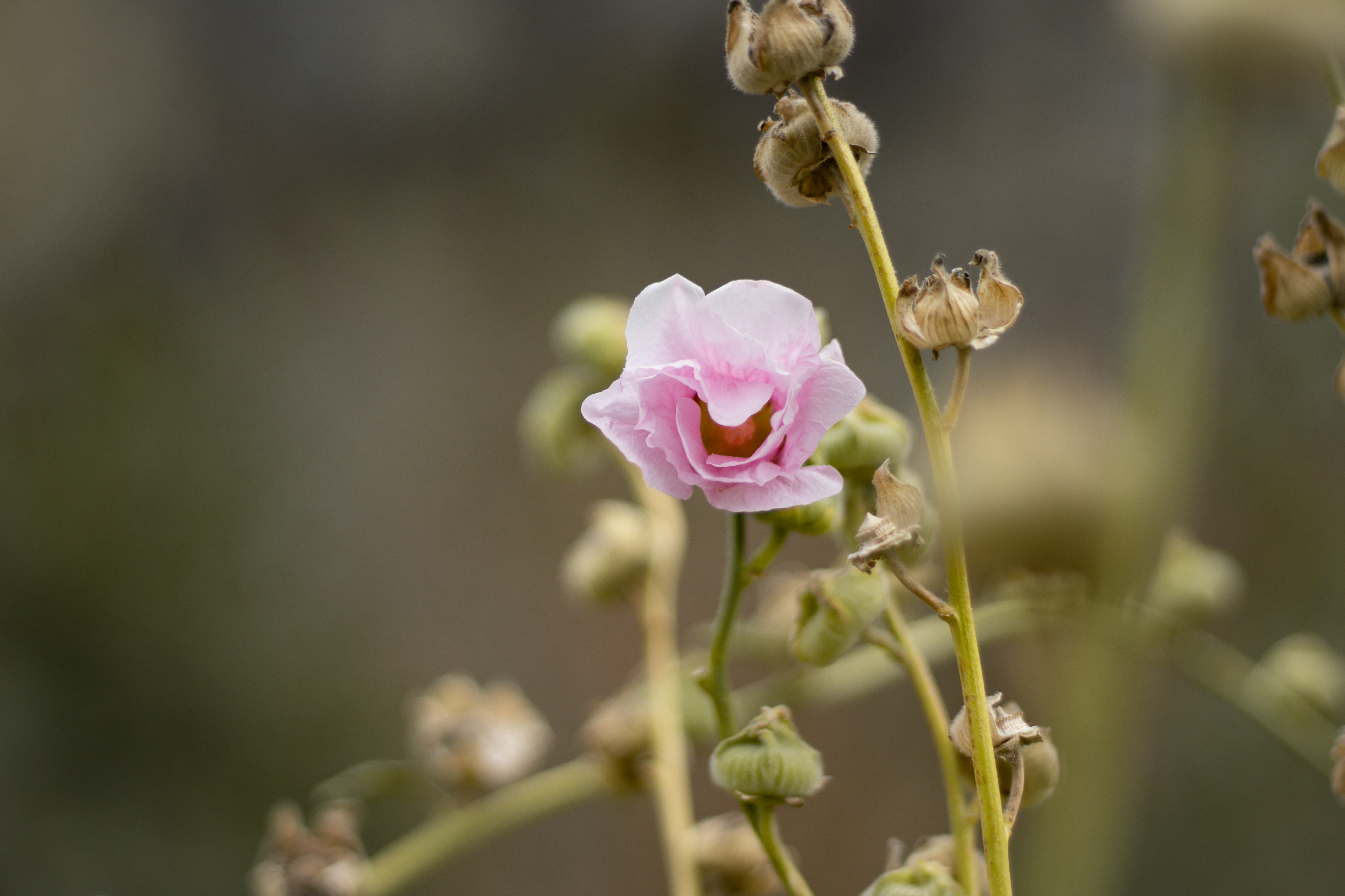 Photo by akshat_jhingran