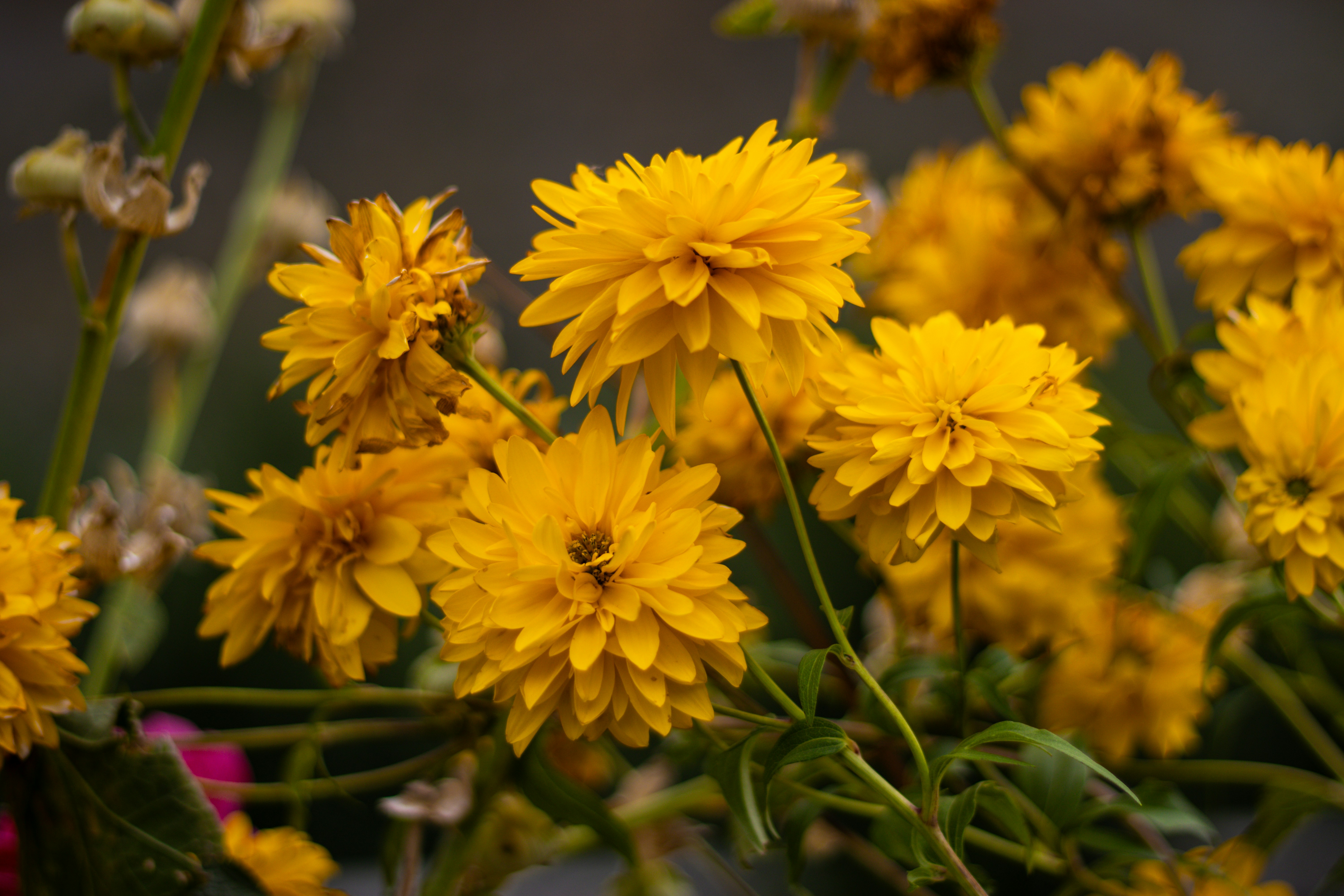 Photo by akshat_jhingran