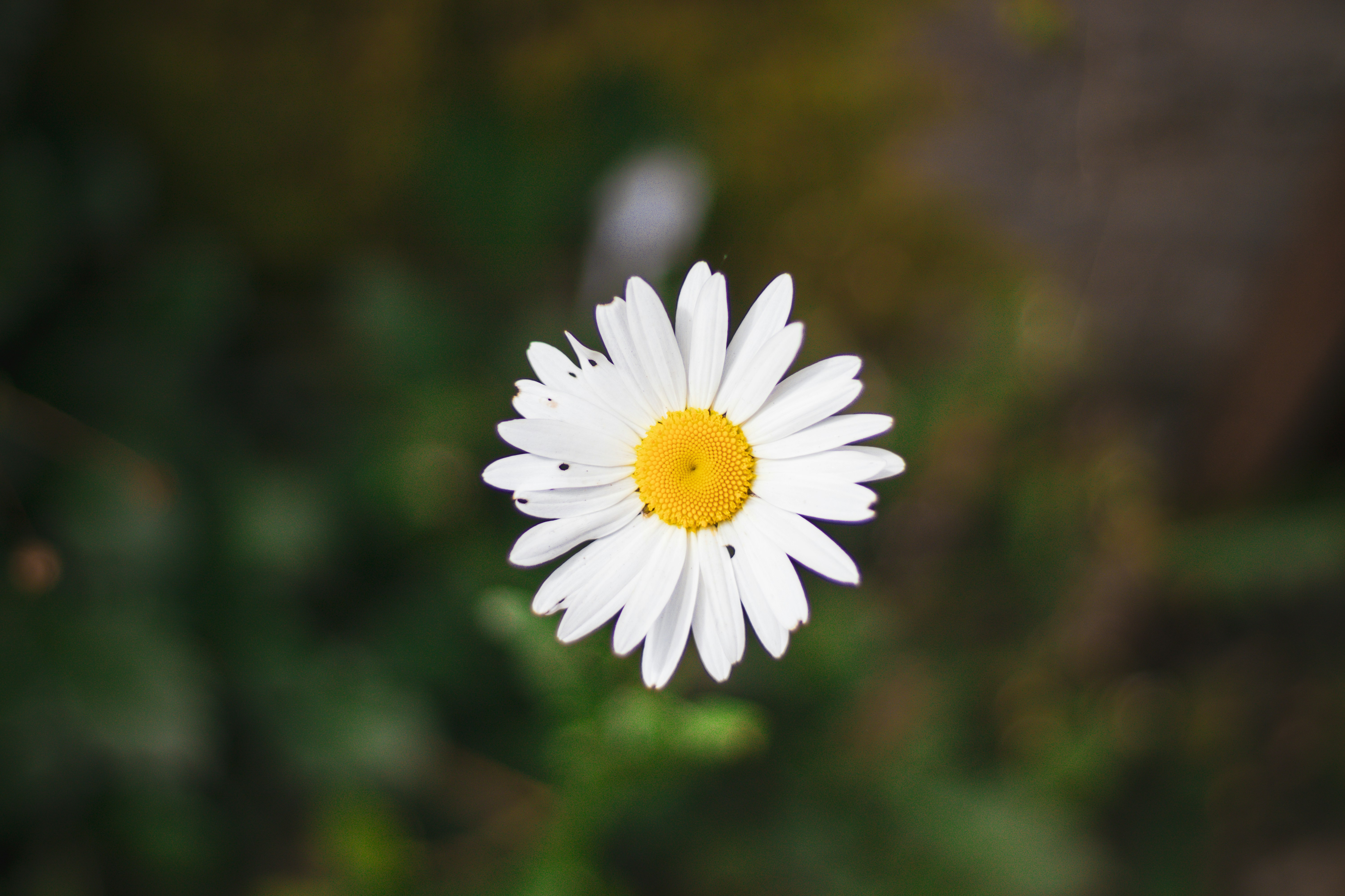 Photo by akshat_jhingran