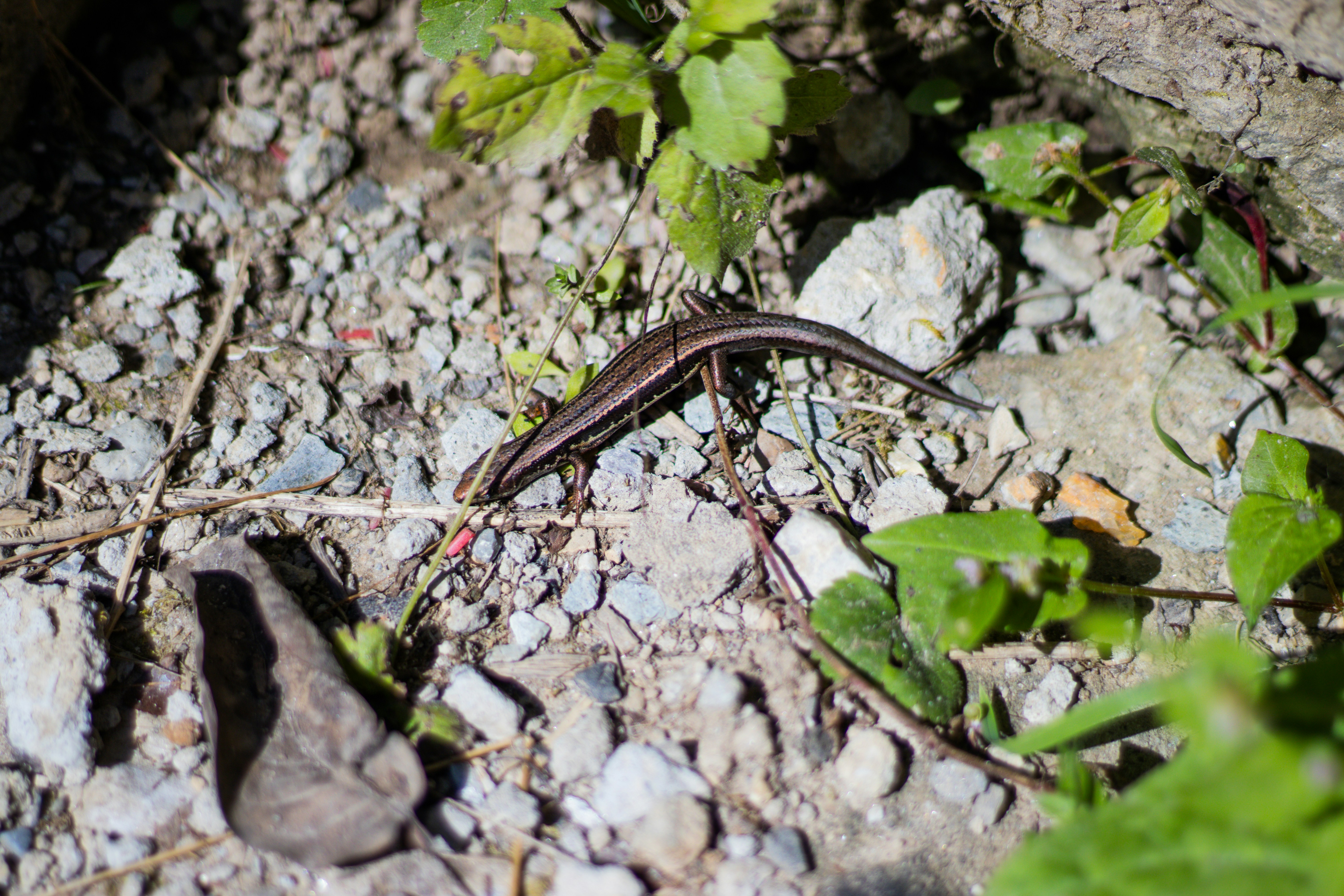 Photo by akshat_jhingran