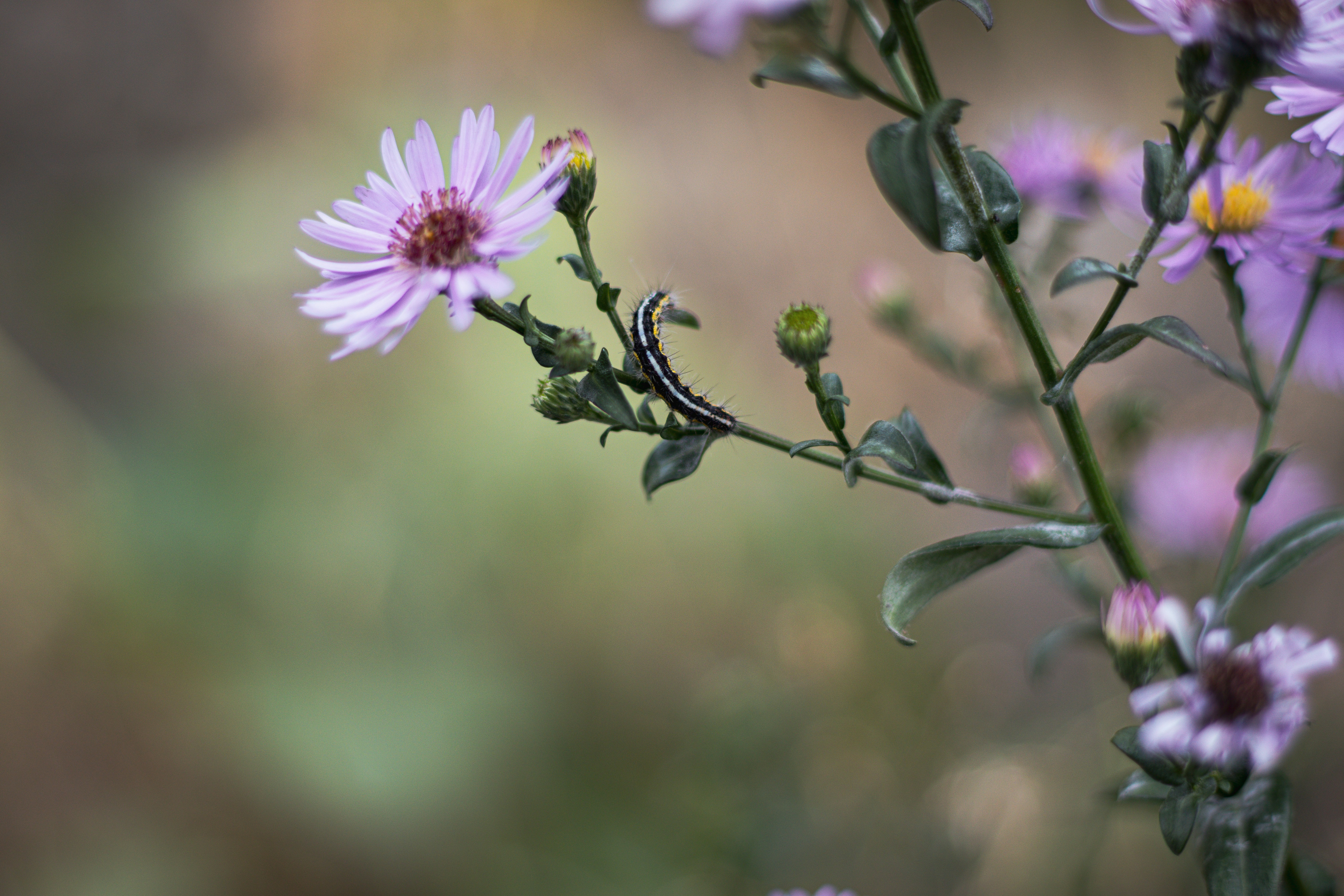 Photo by akshat_jhingran