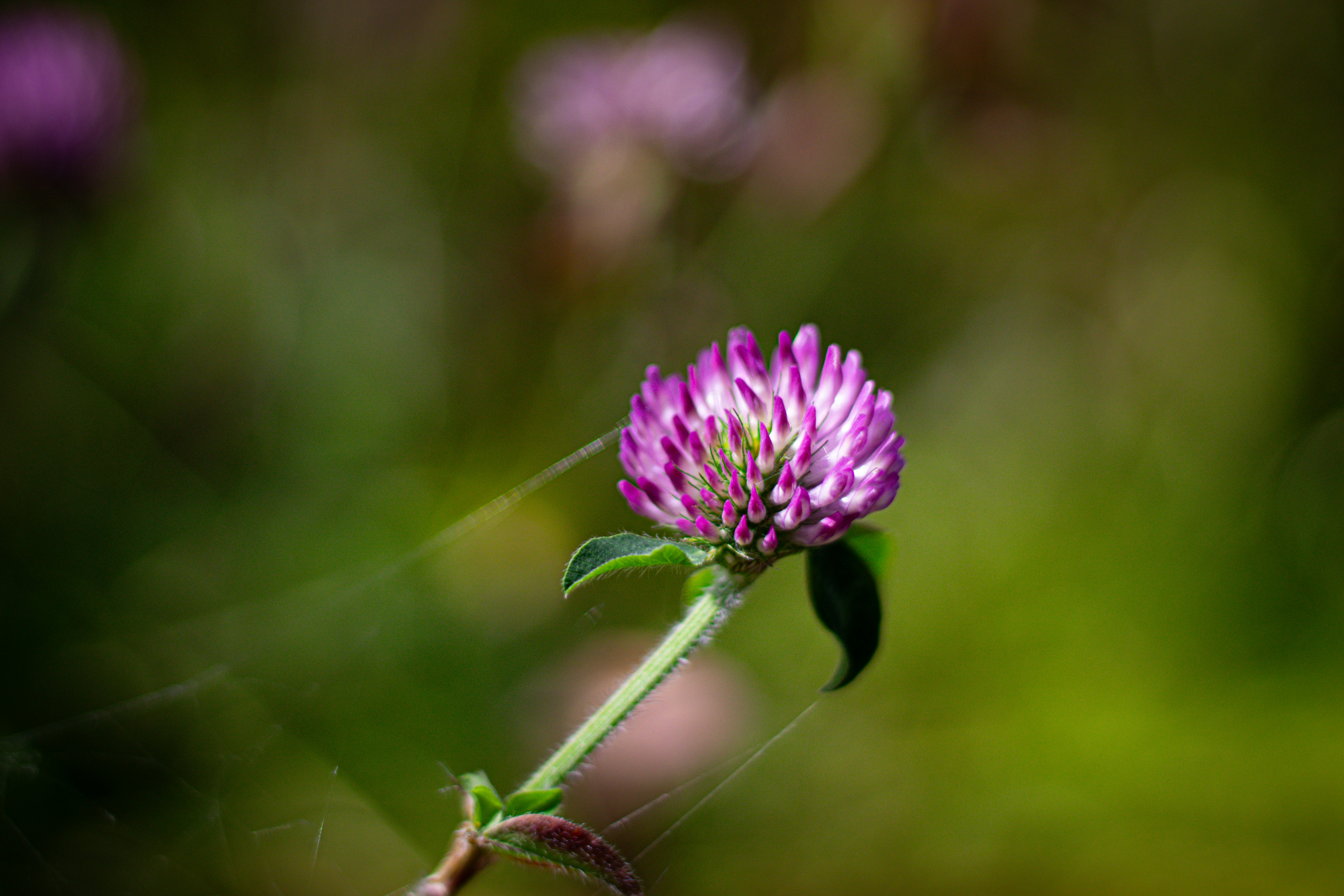 Photo by akshat_jhingran