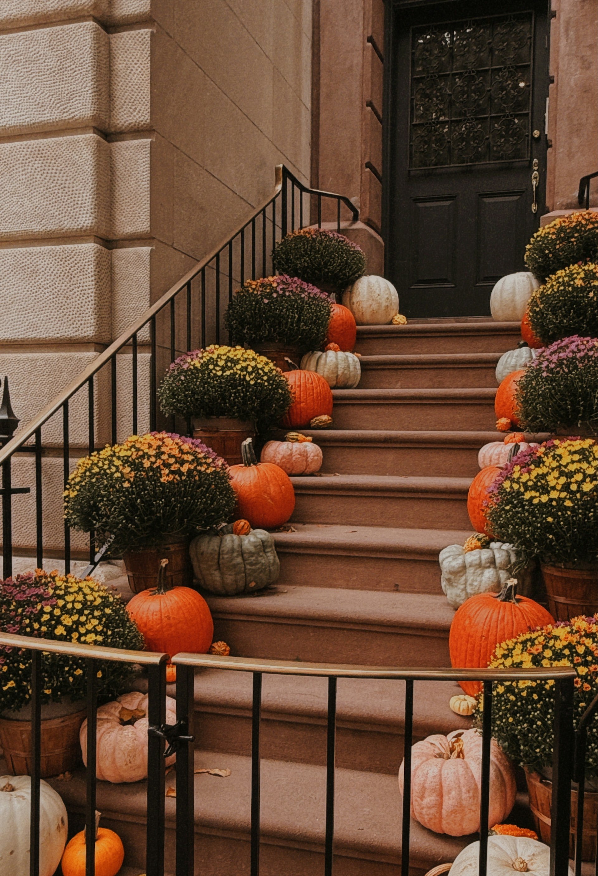 Bright elegant stone stoop with soft pink and white mums and pumpkins in Nashville