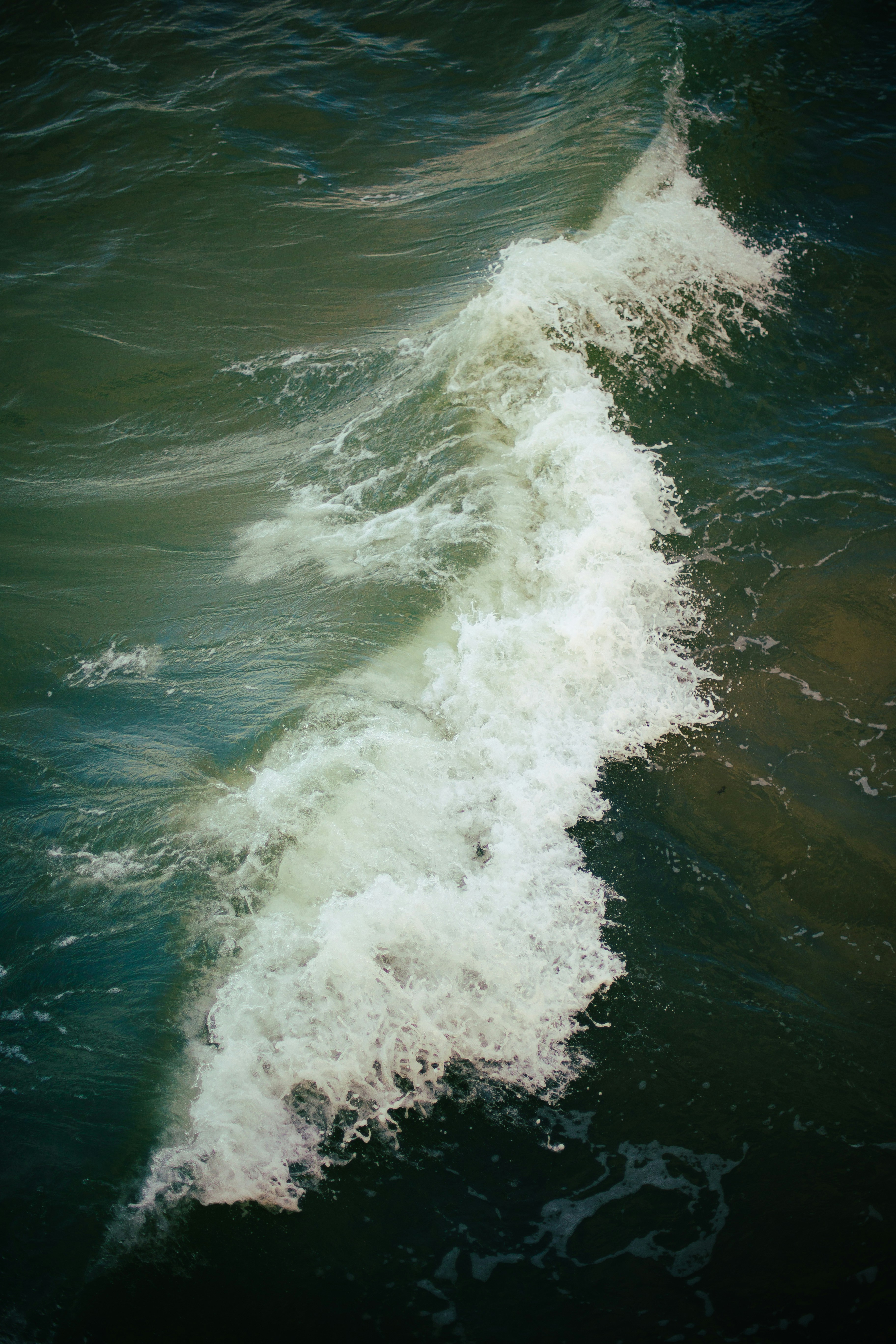 A large body of water with a wave coming towards the shore