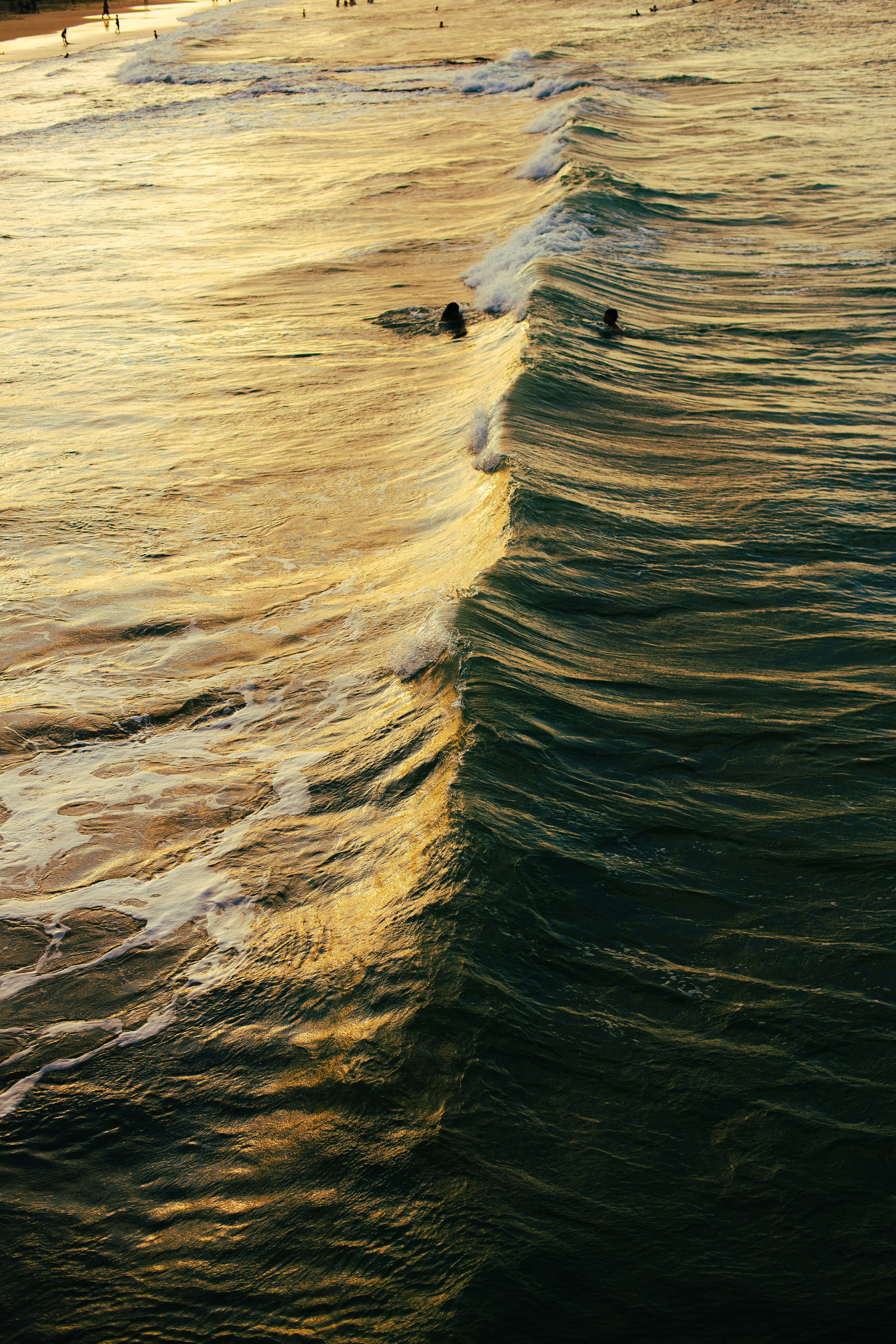 A group of people riding surfboards on top of a wave