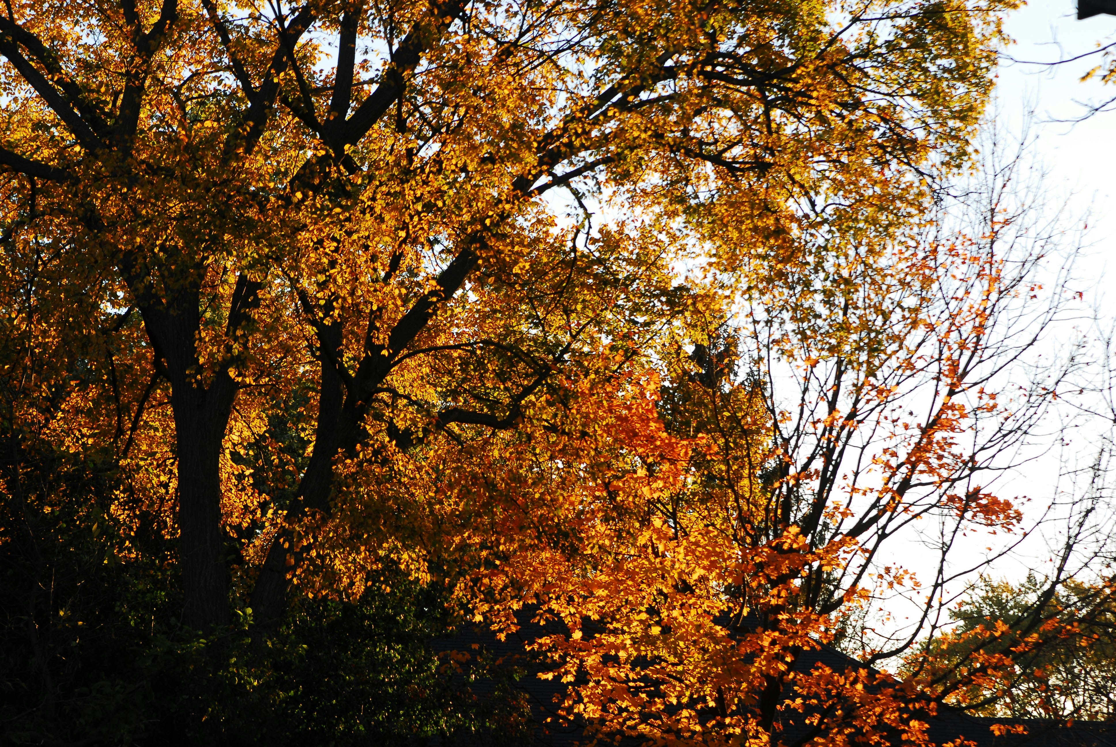 Photo by michaelcarruth