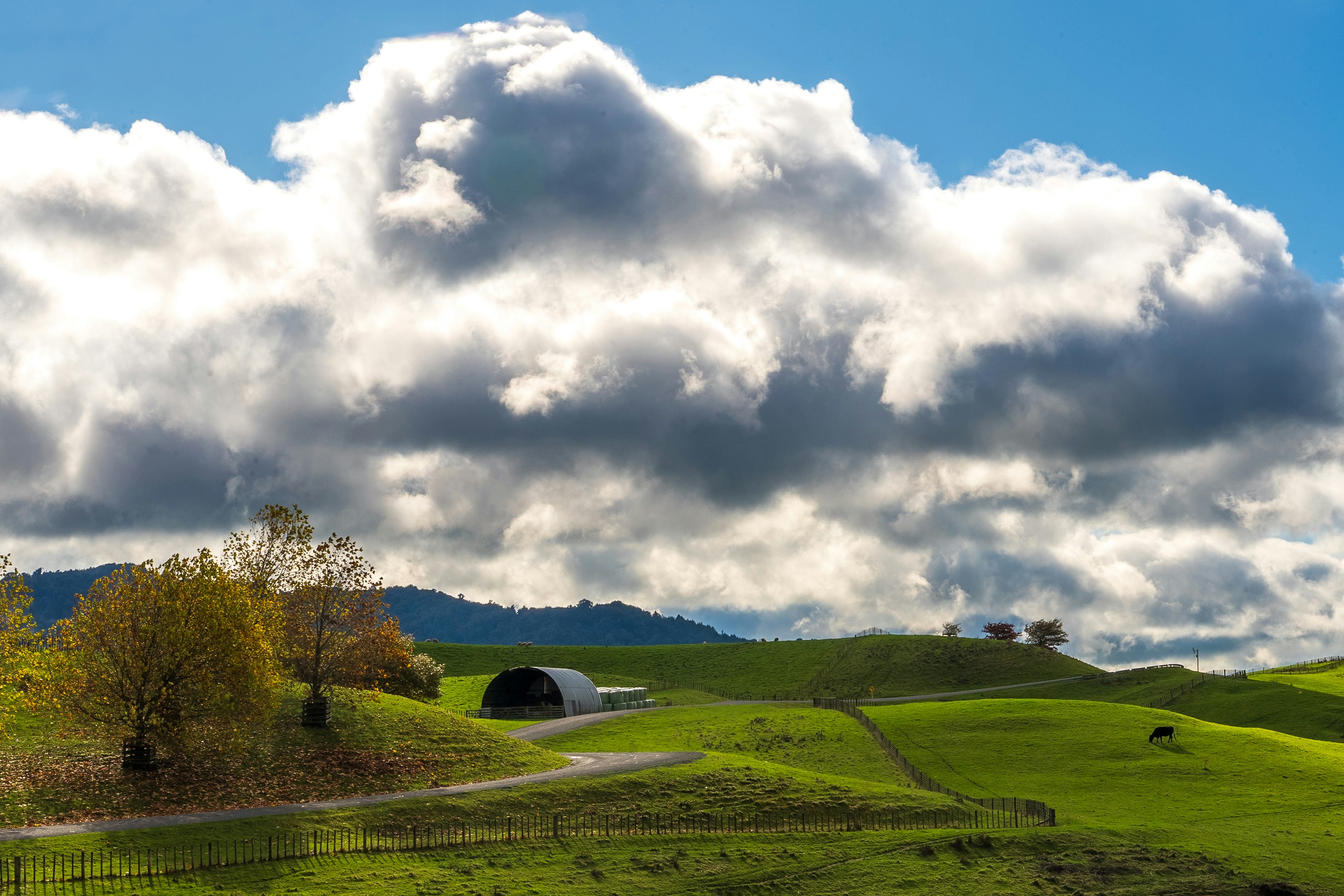 Un champ verdoyant sous un ciel bleu nuageux