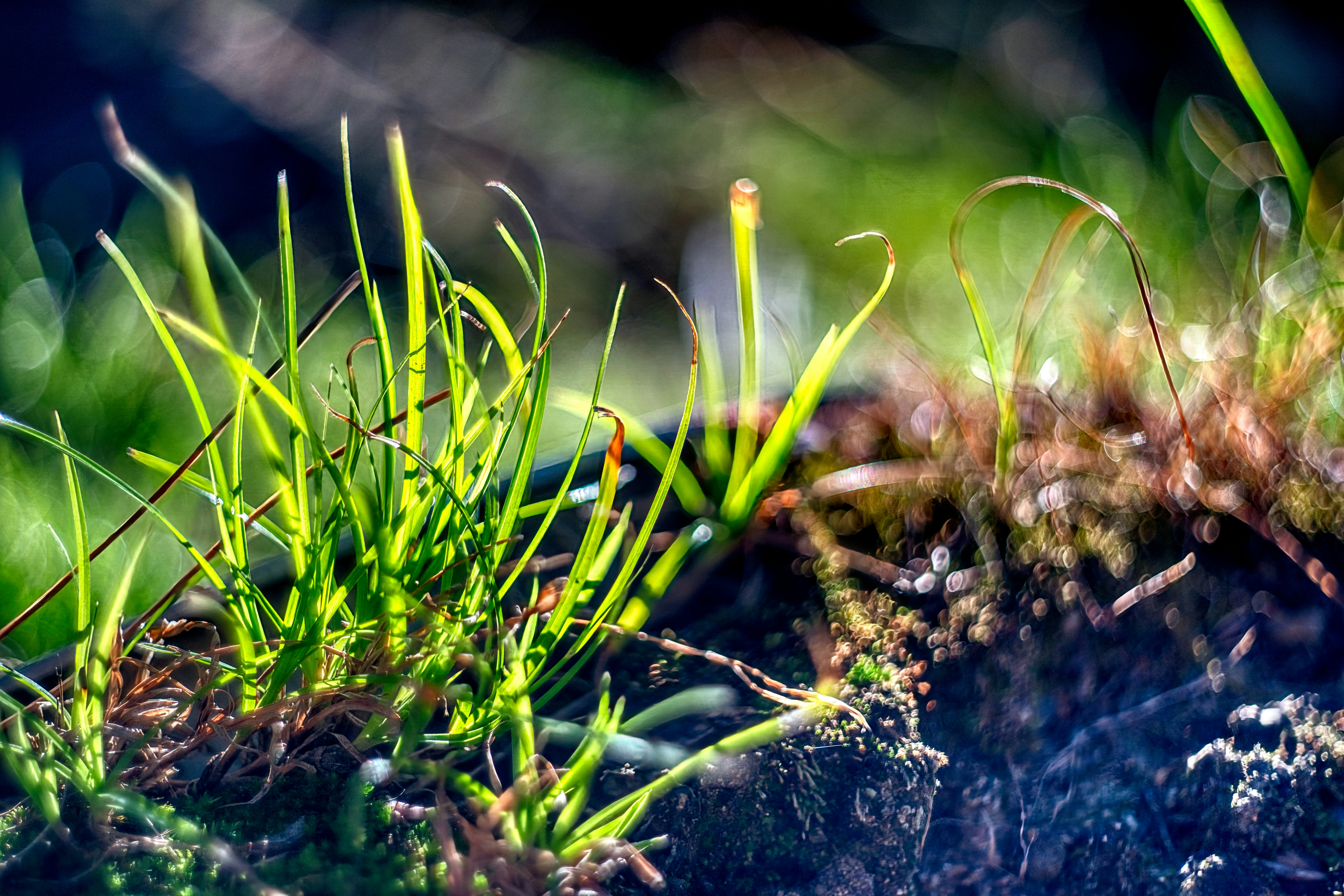 Photo by thomaskinto