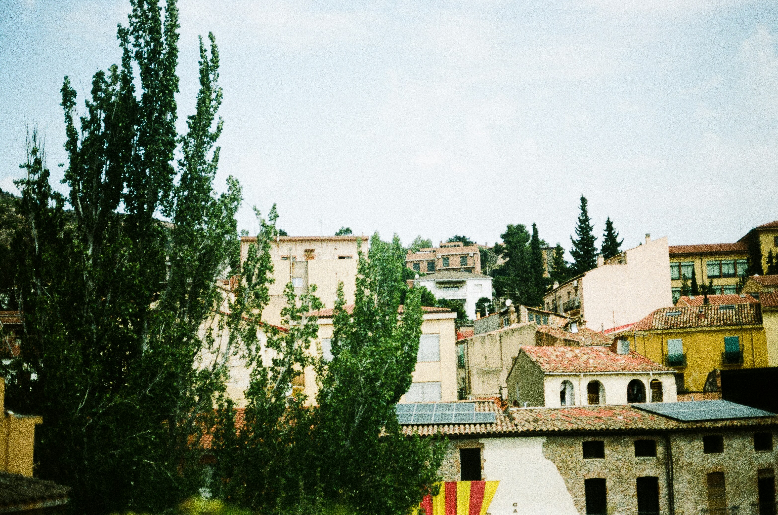 Photo by taramaemil