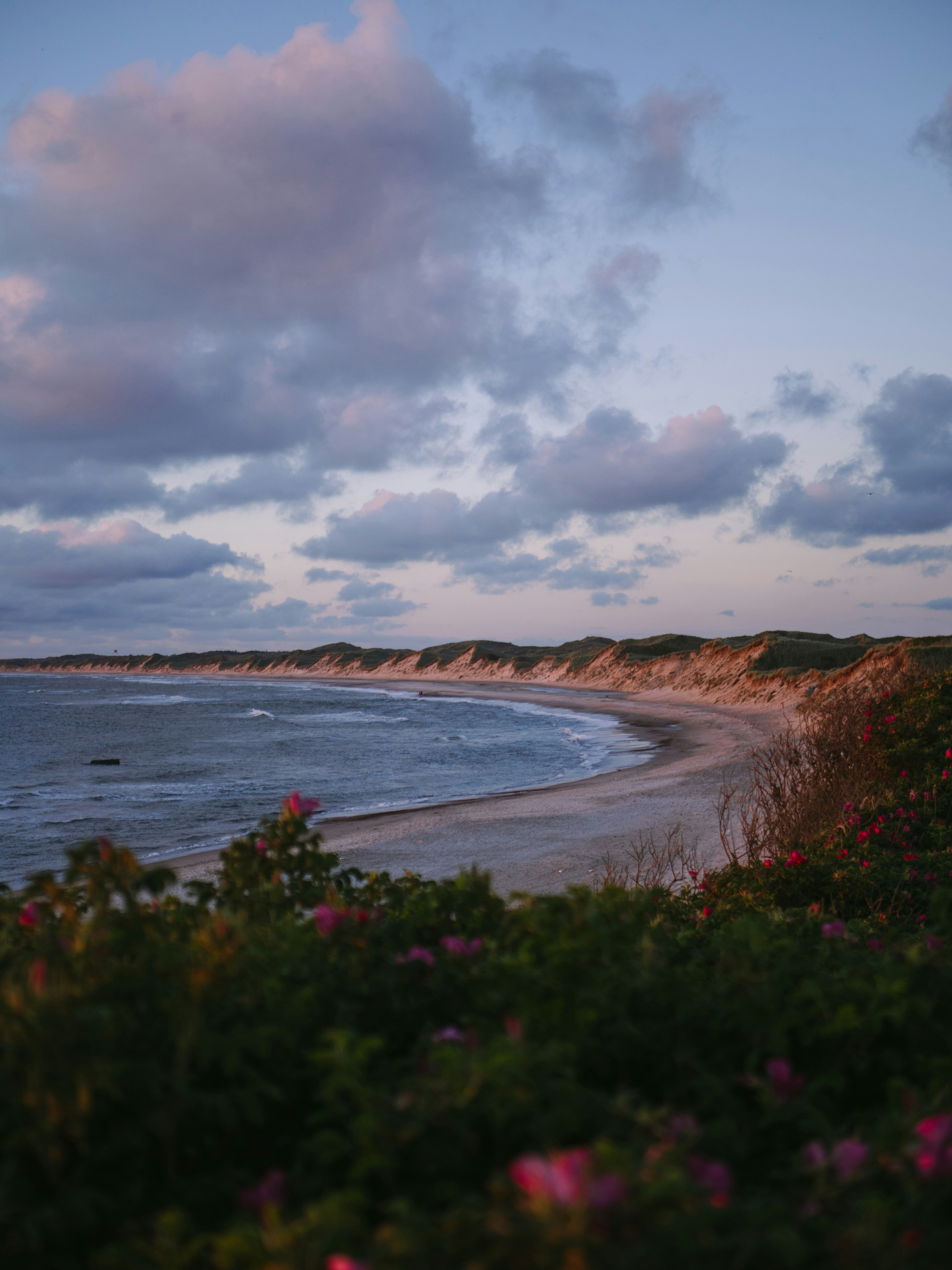 Photo by paulinaherpel