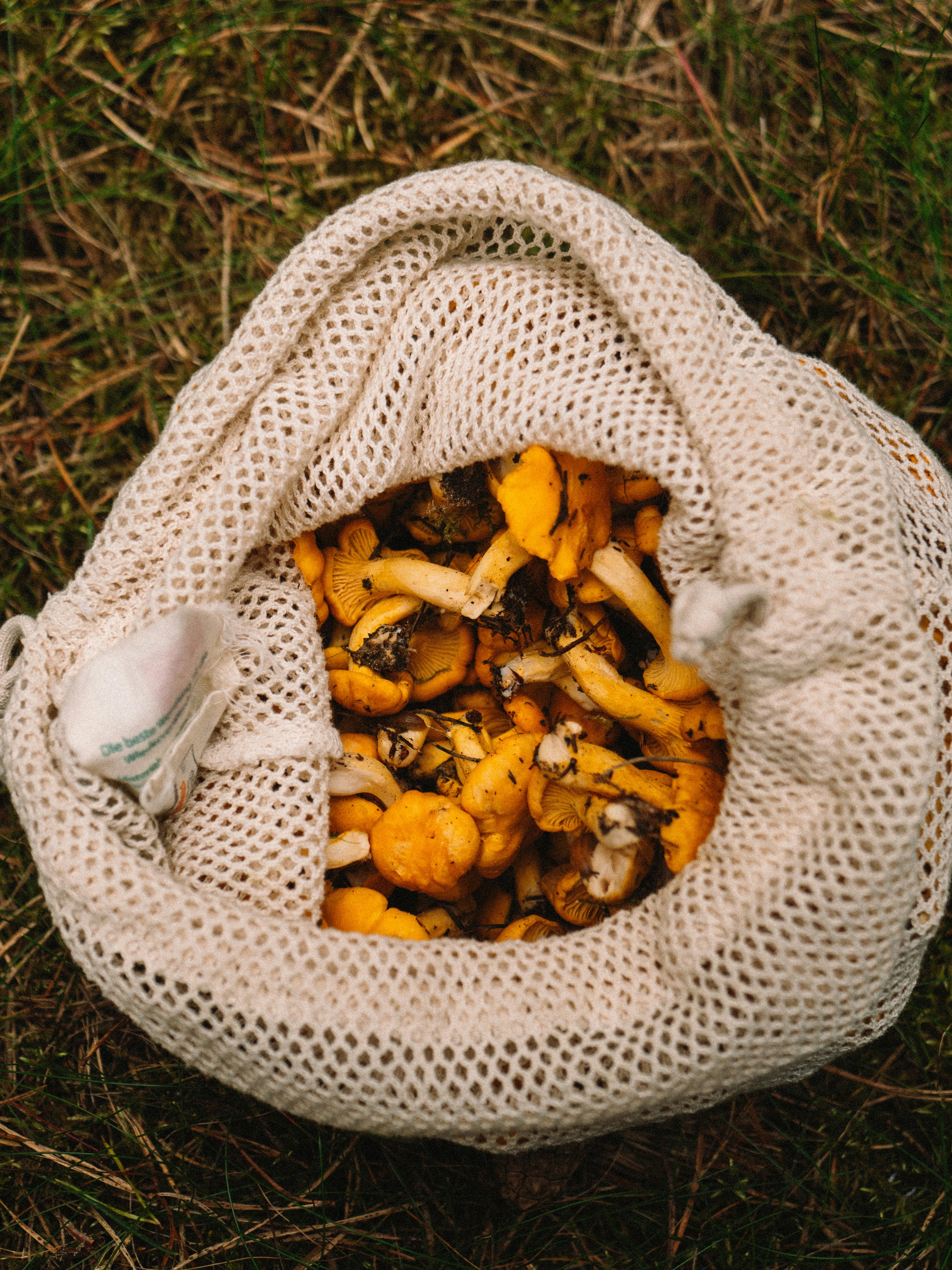 Photo by paulinaherpel