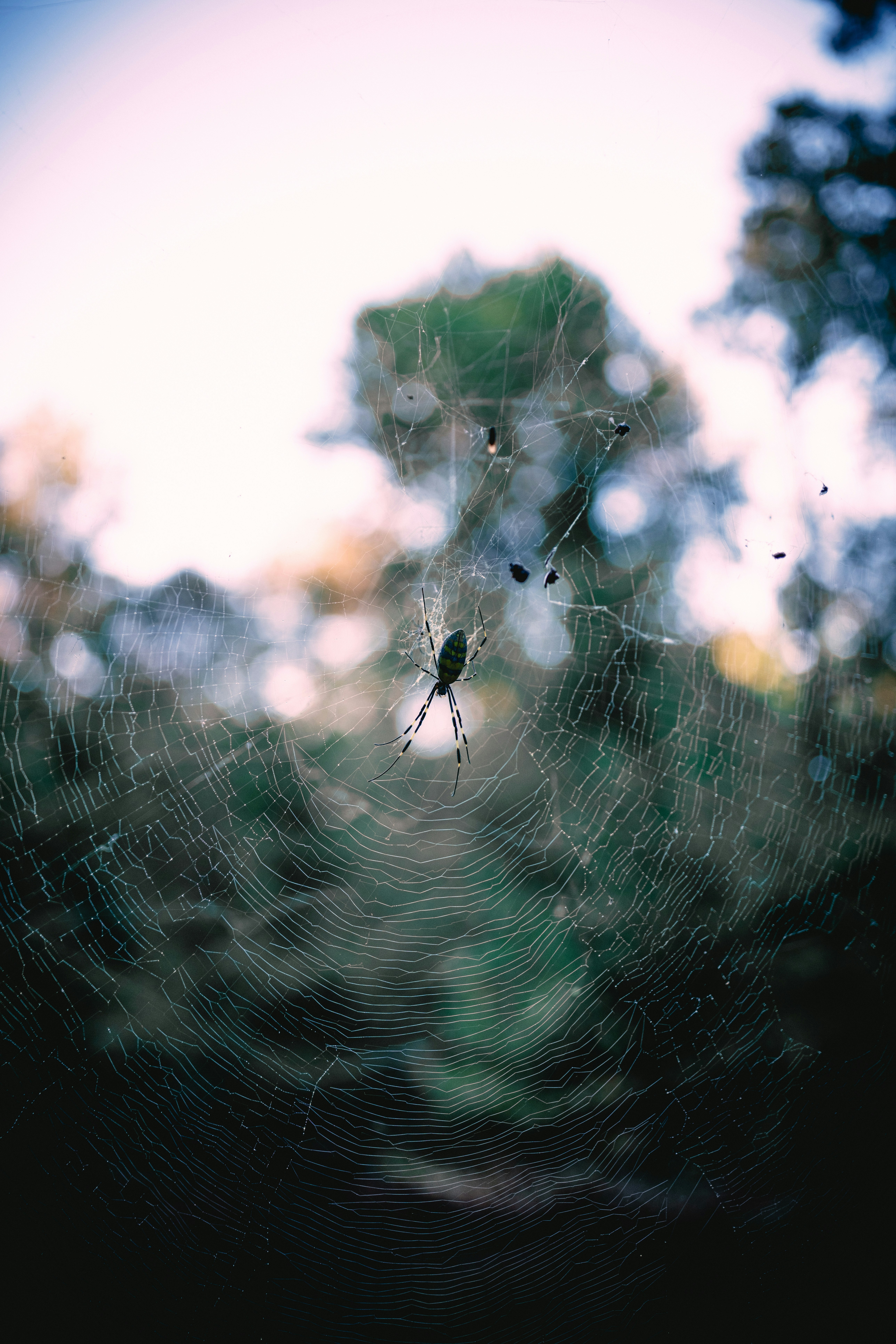 Photo by beangarbage