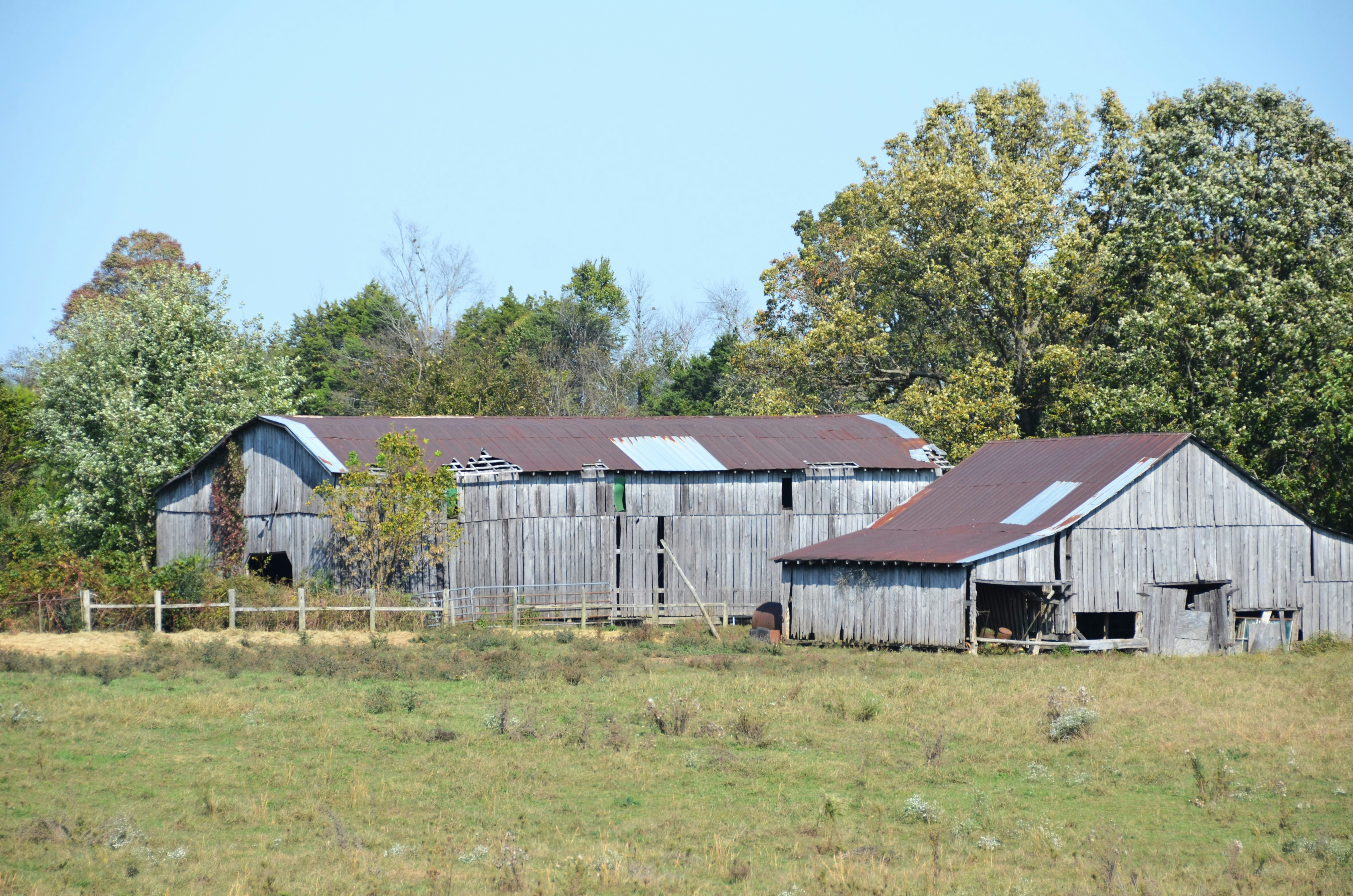 Southern Belle'S Menu