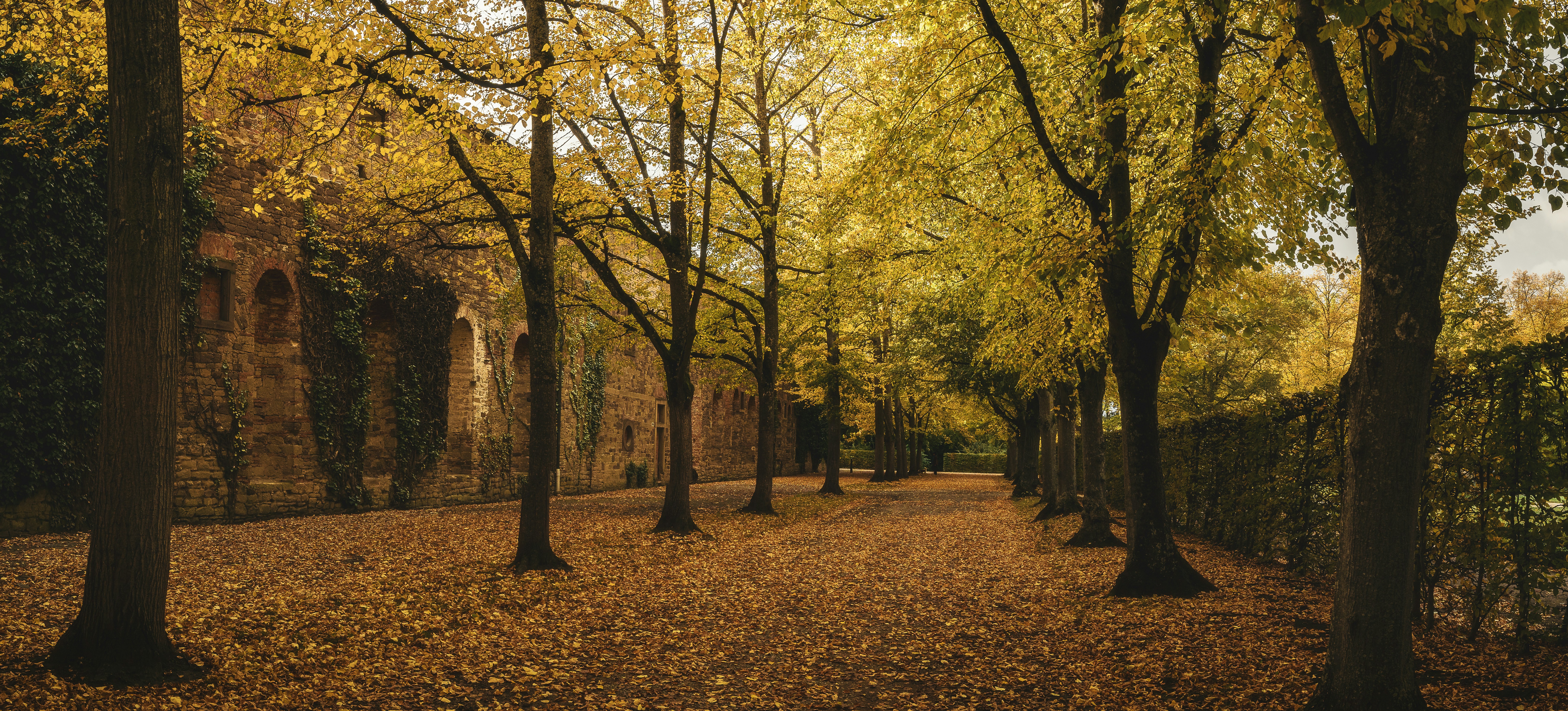 dual monitor wallpaper 4k, wallpaper, Dual Monitor 4K: Setup, Benefits & Panoramic Wallpapers 3