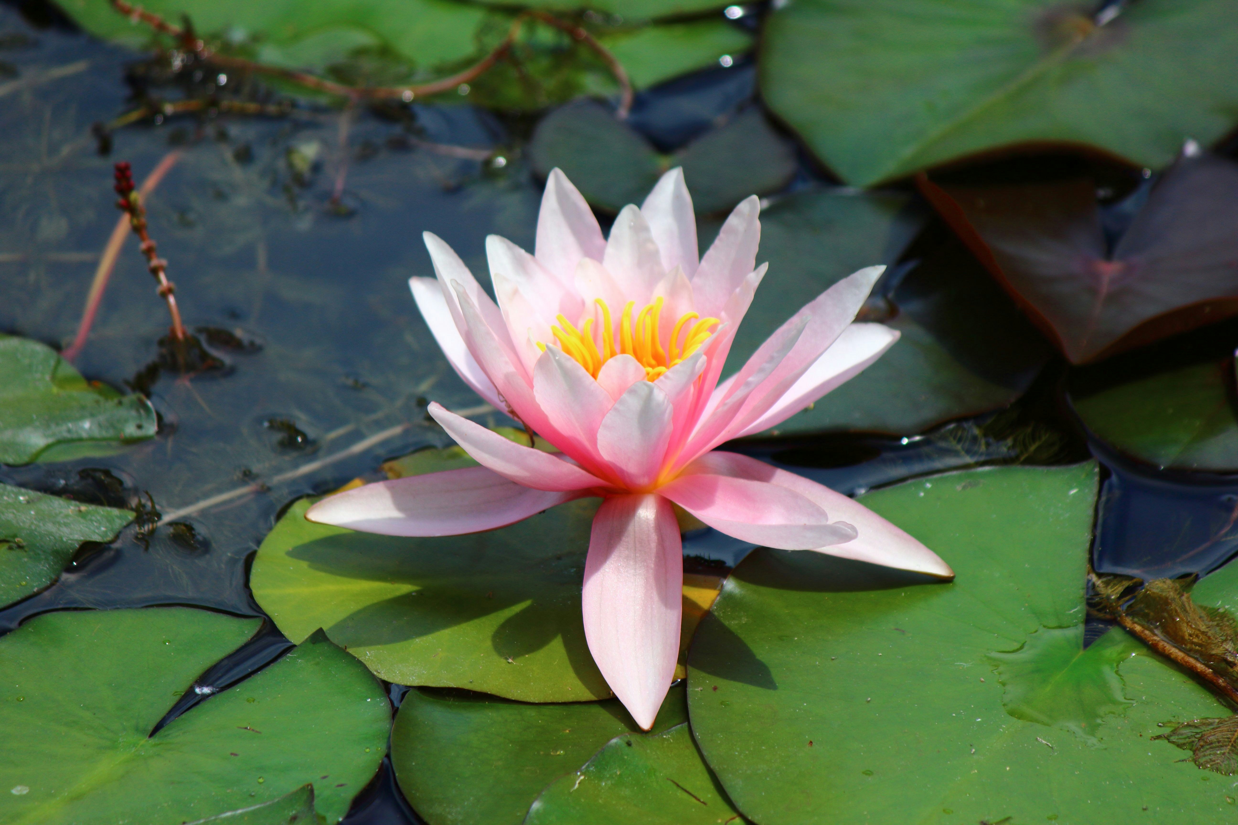 Photo by cengizozarpat