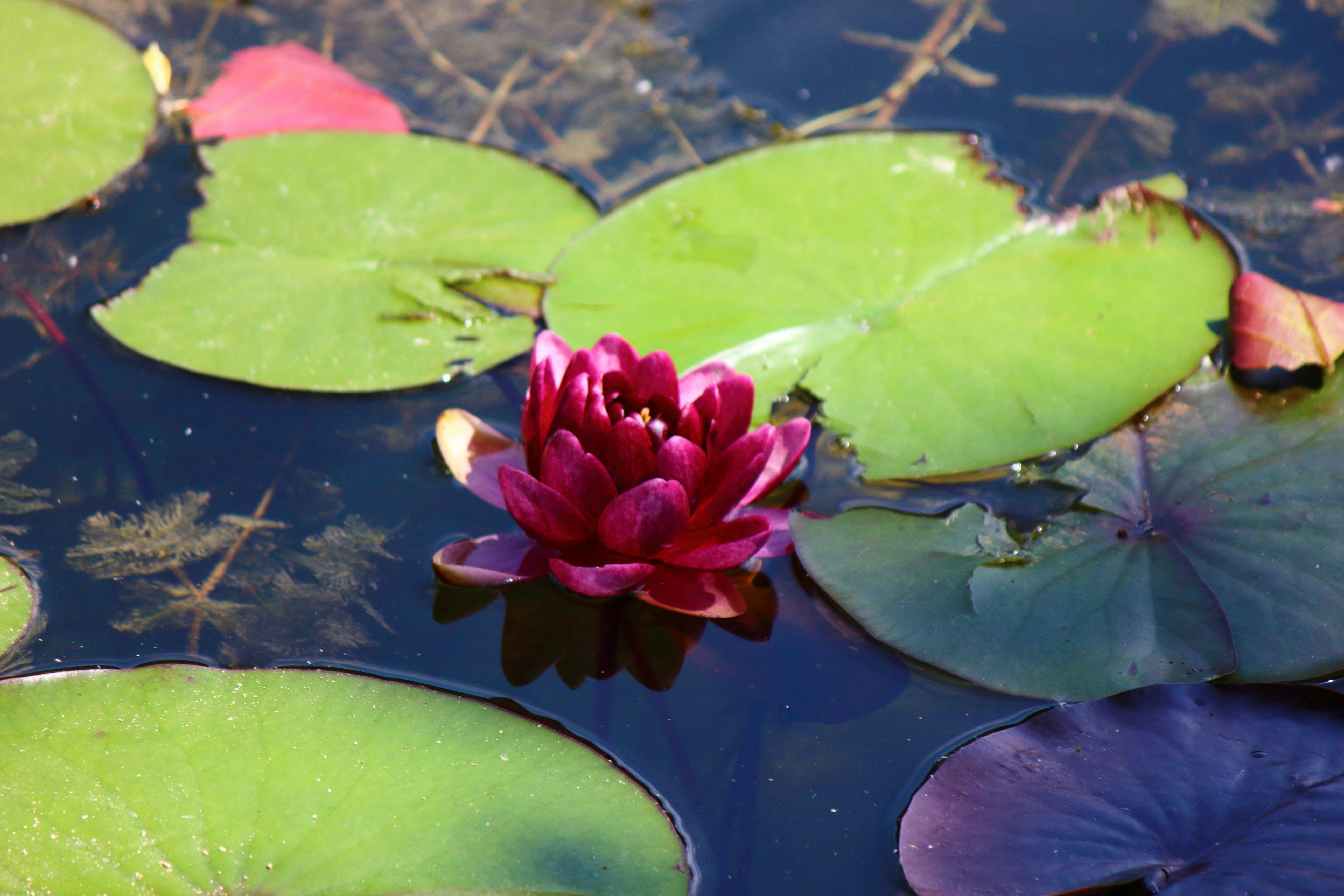 Photo by cengizozarpat