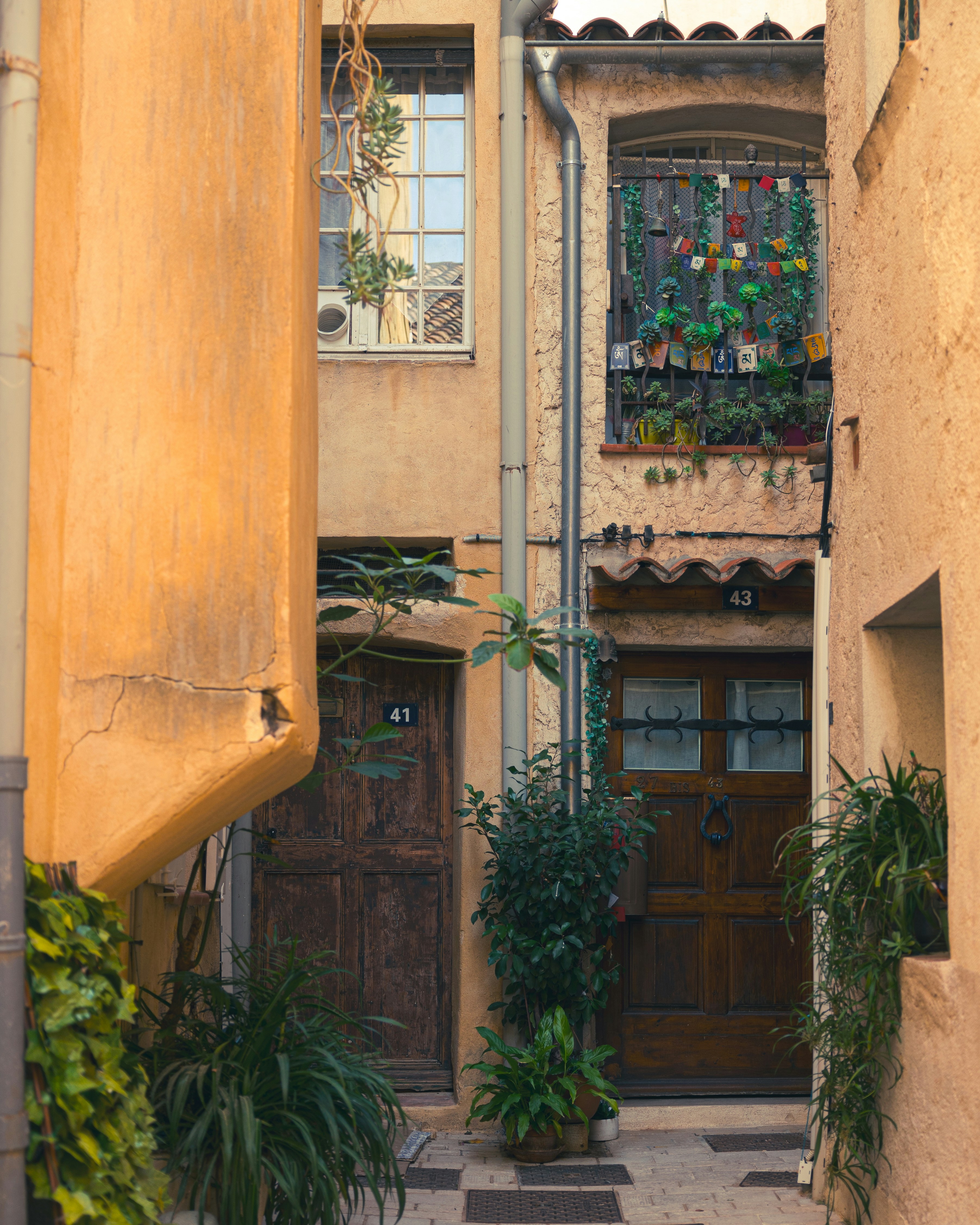 A narrow alleyway with potted plants on either side