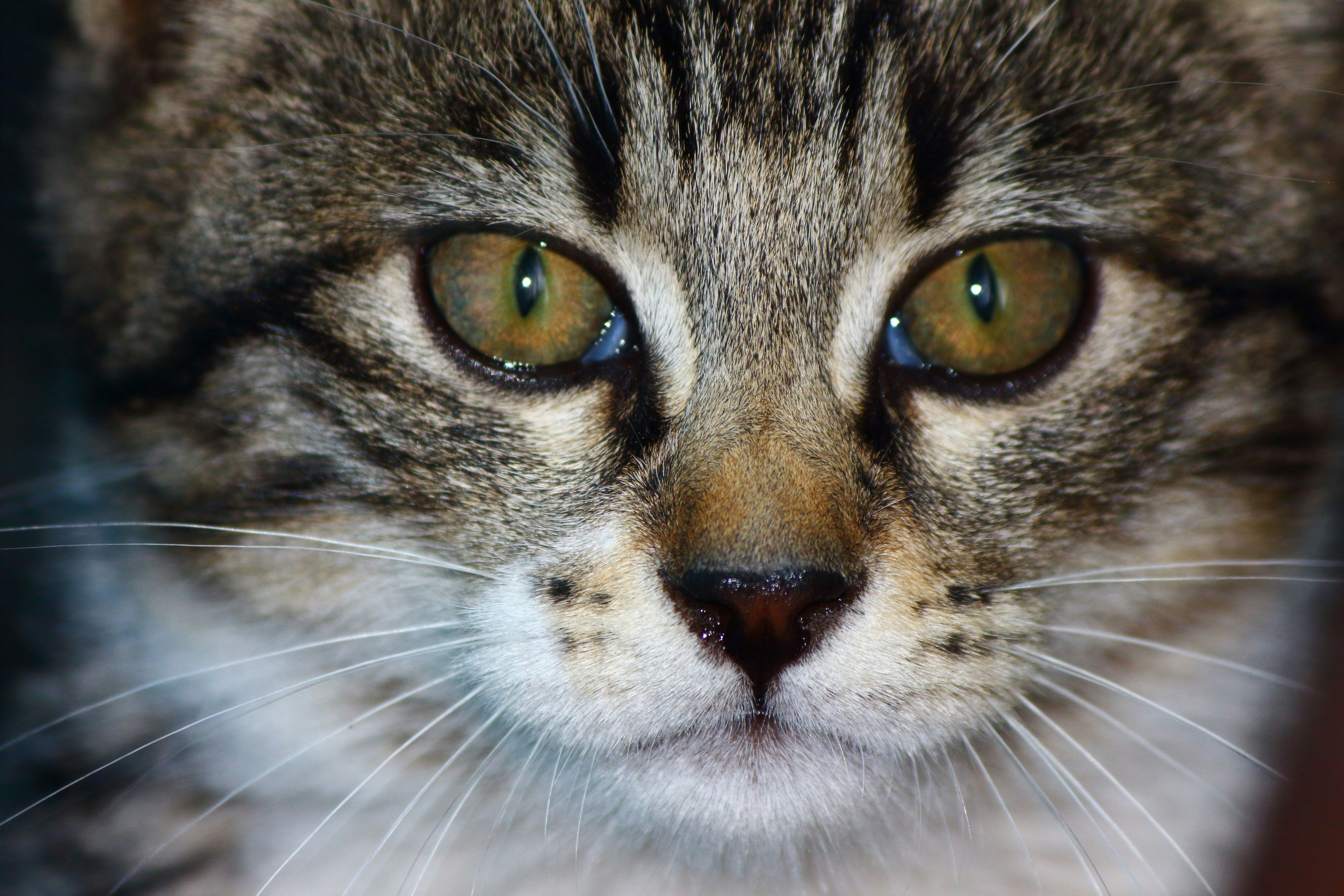 Photo by cengizozarpat