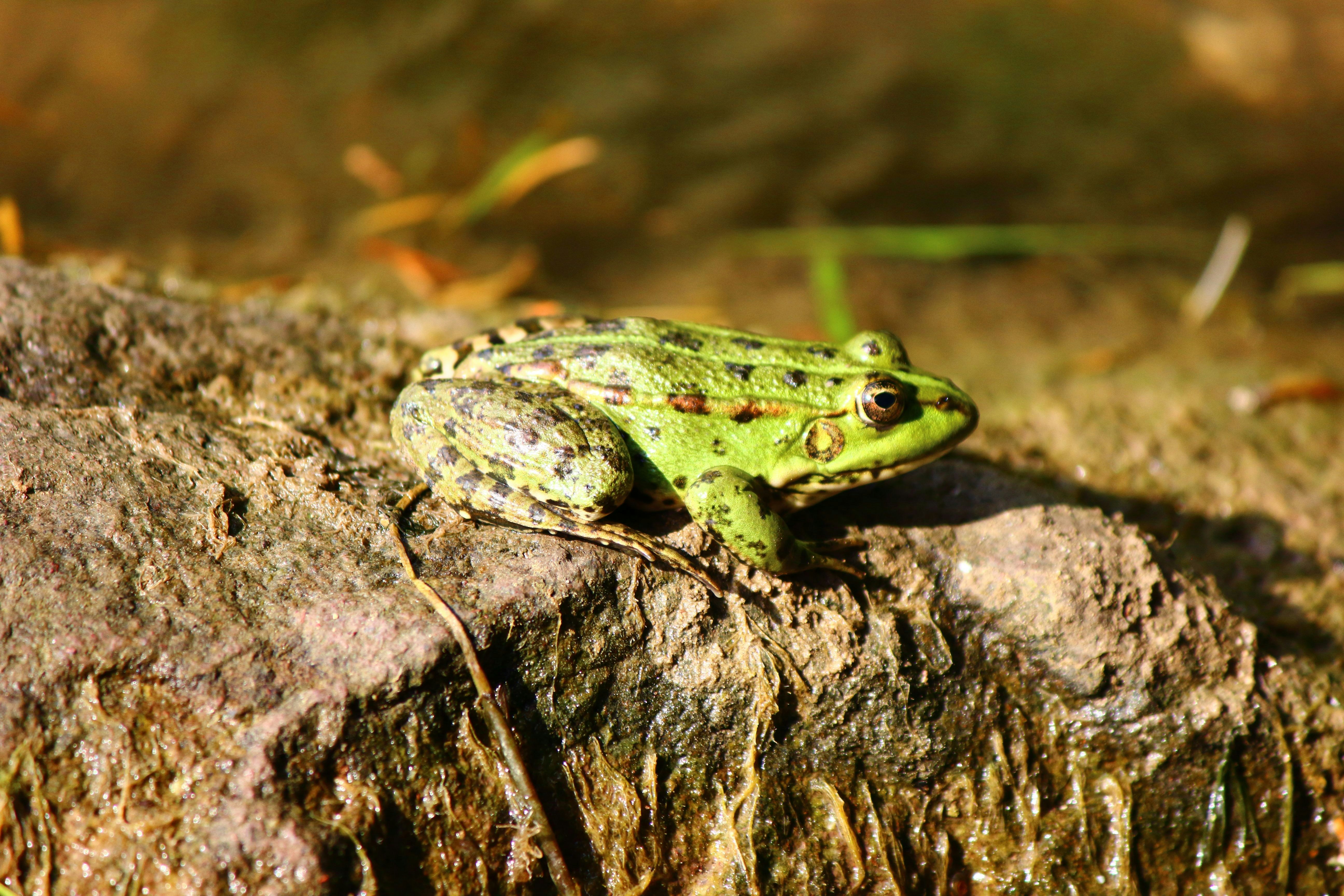 Photo by cengizozarpat