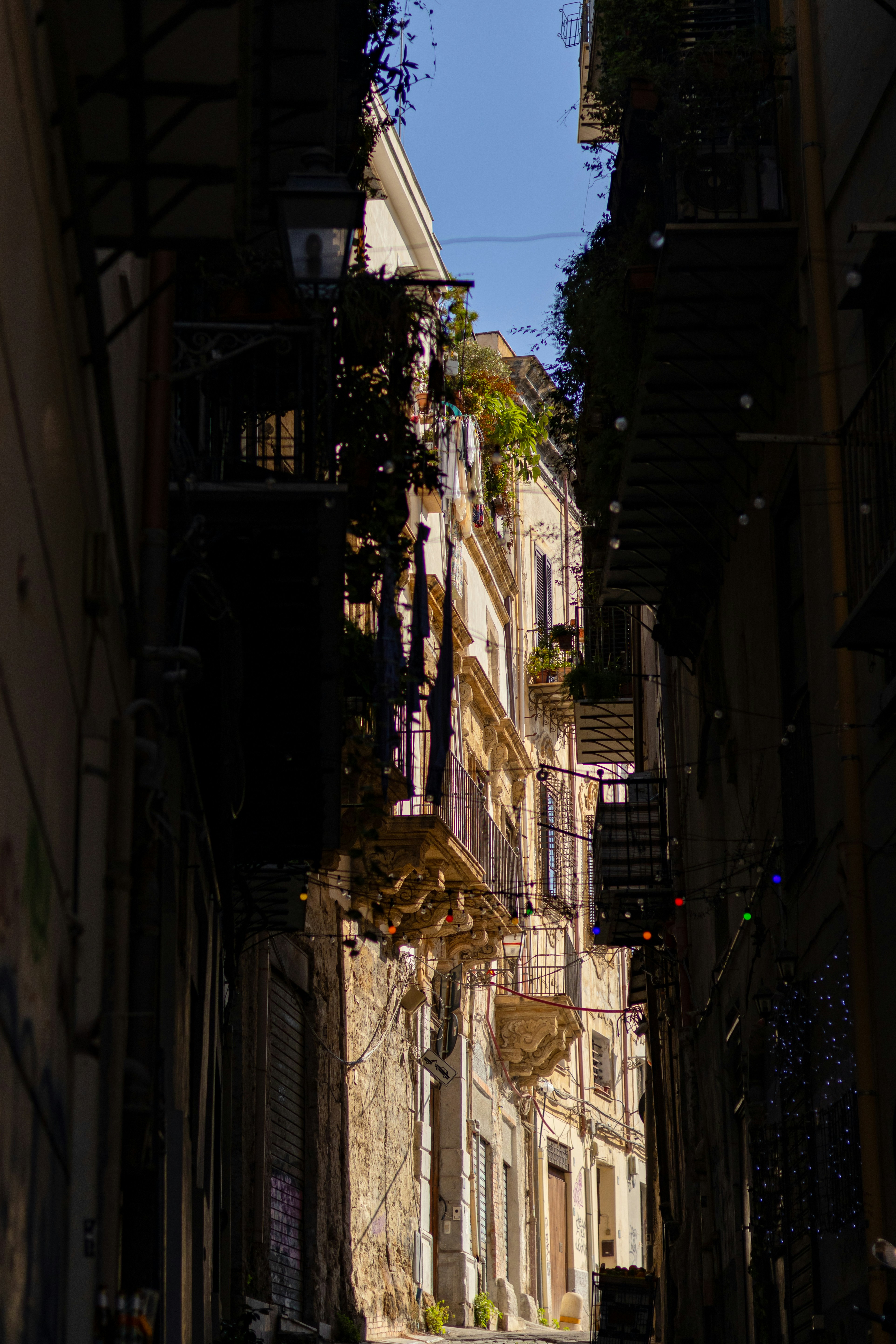 Photo by anyutakejbalo