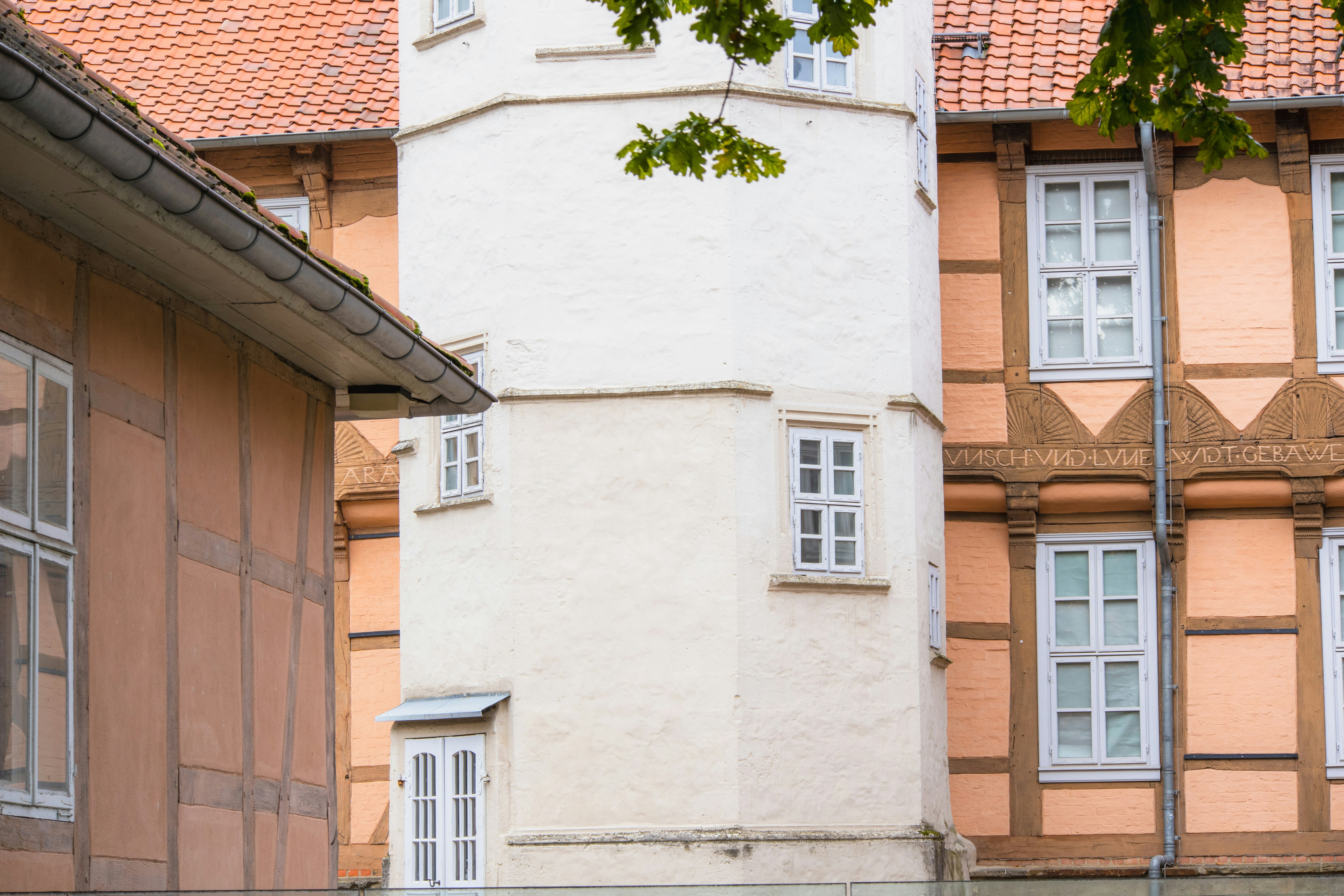 Photo by marko_lengyel