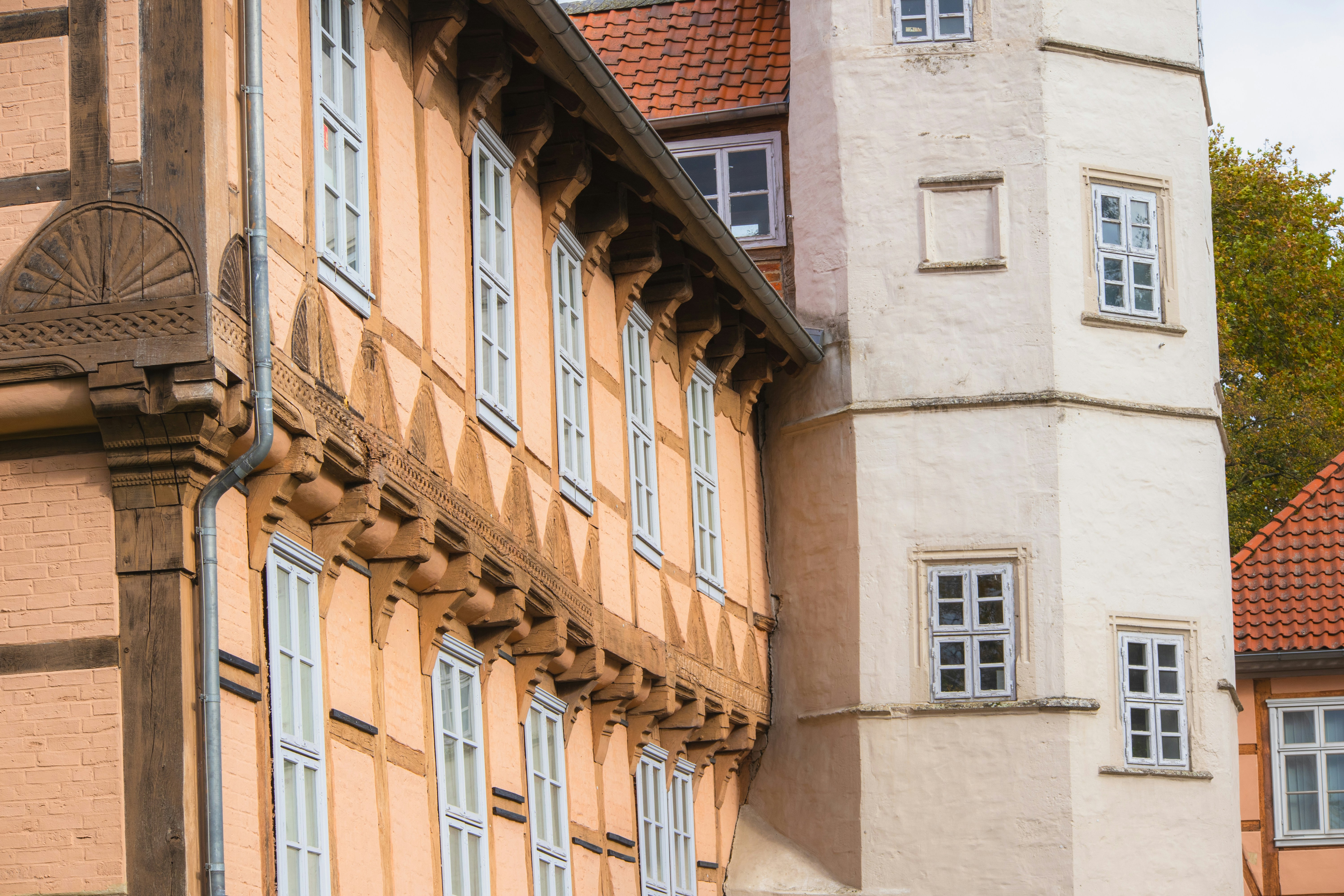 Photo by marko_lengyel