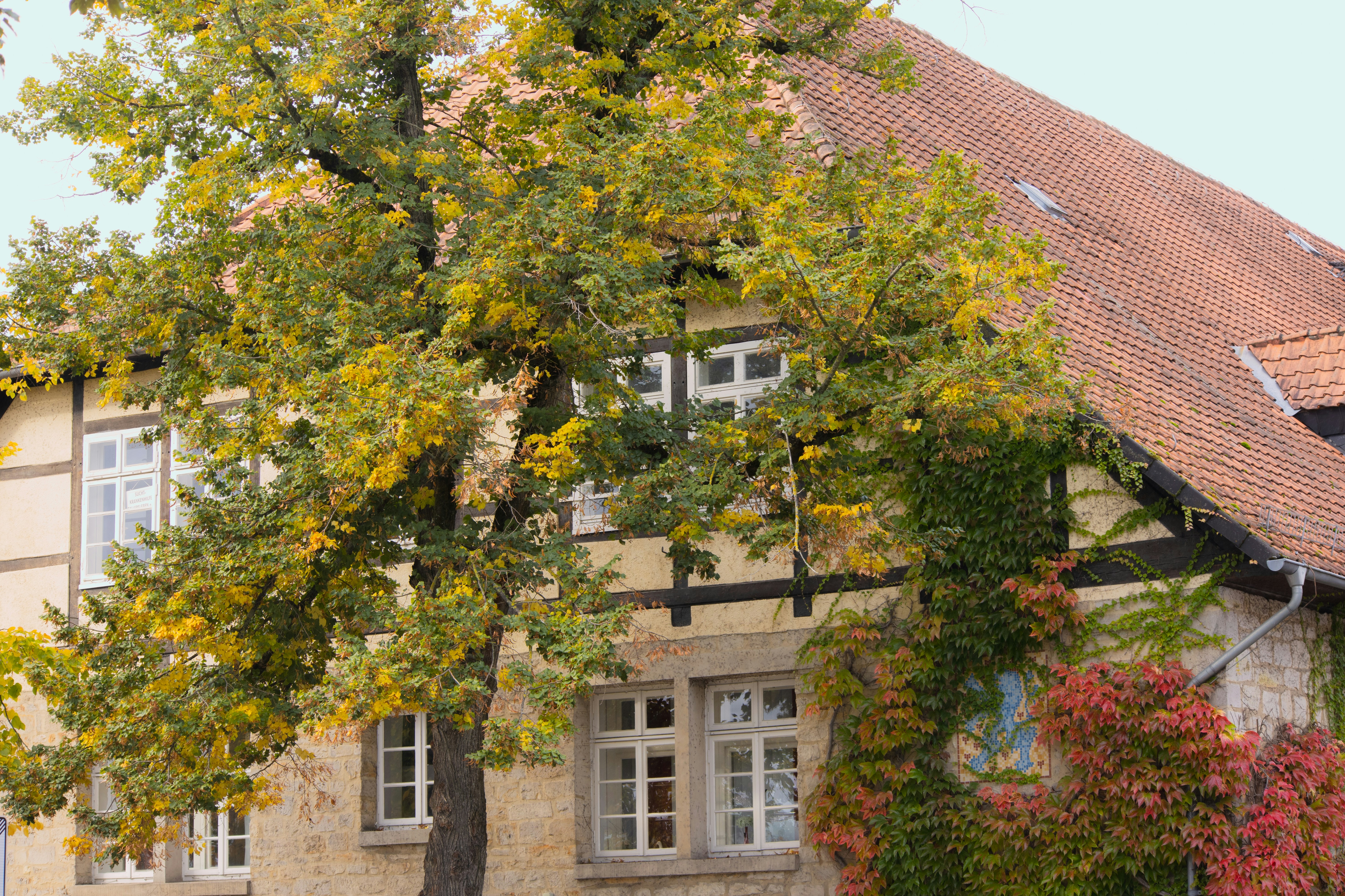 Photo by marko_lengyel