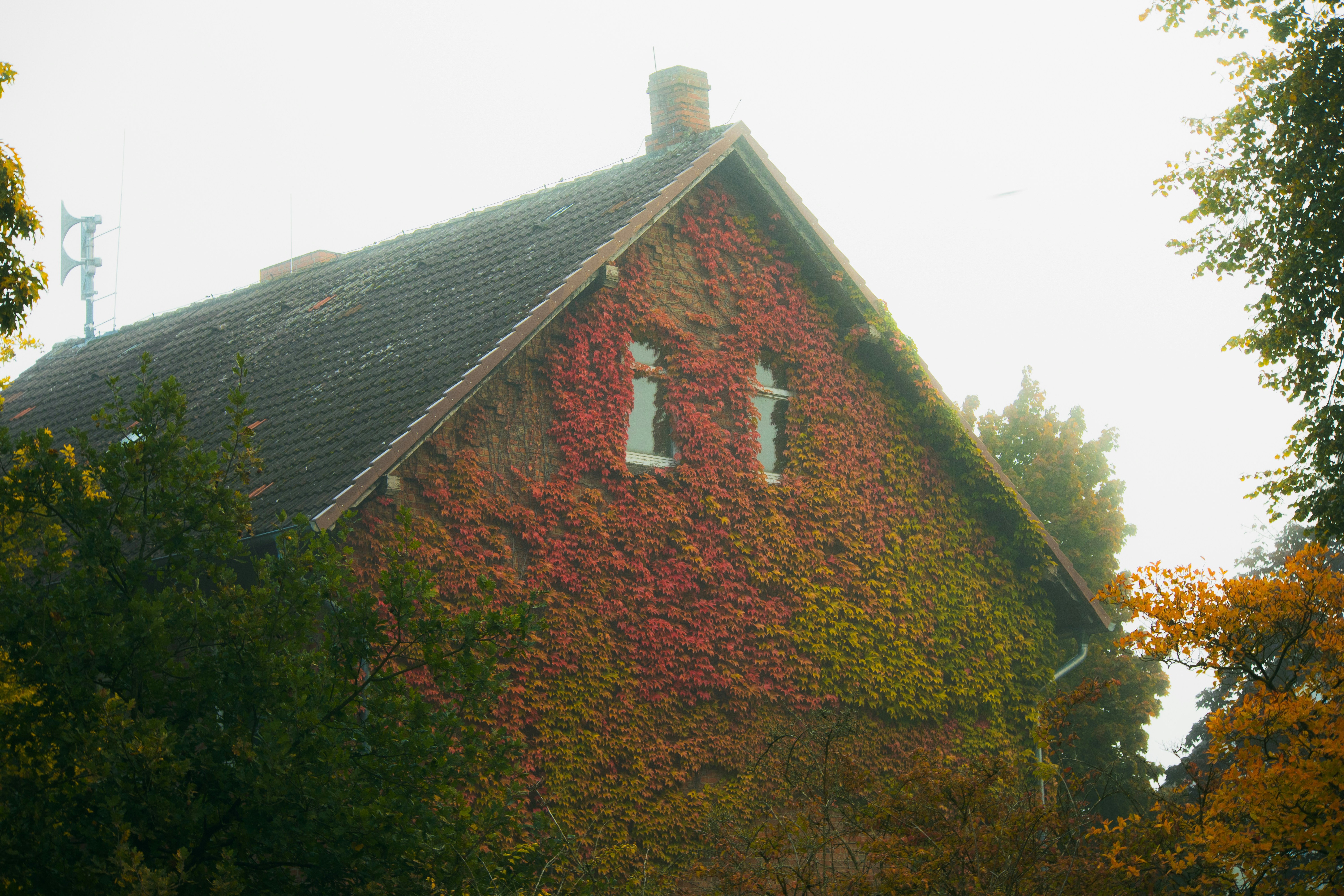 Winter Energy Efficiency: Practical Tips to Keep Your Home Warm and Your Bills Low