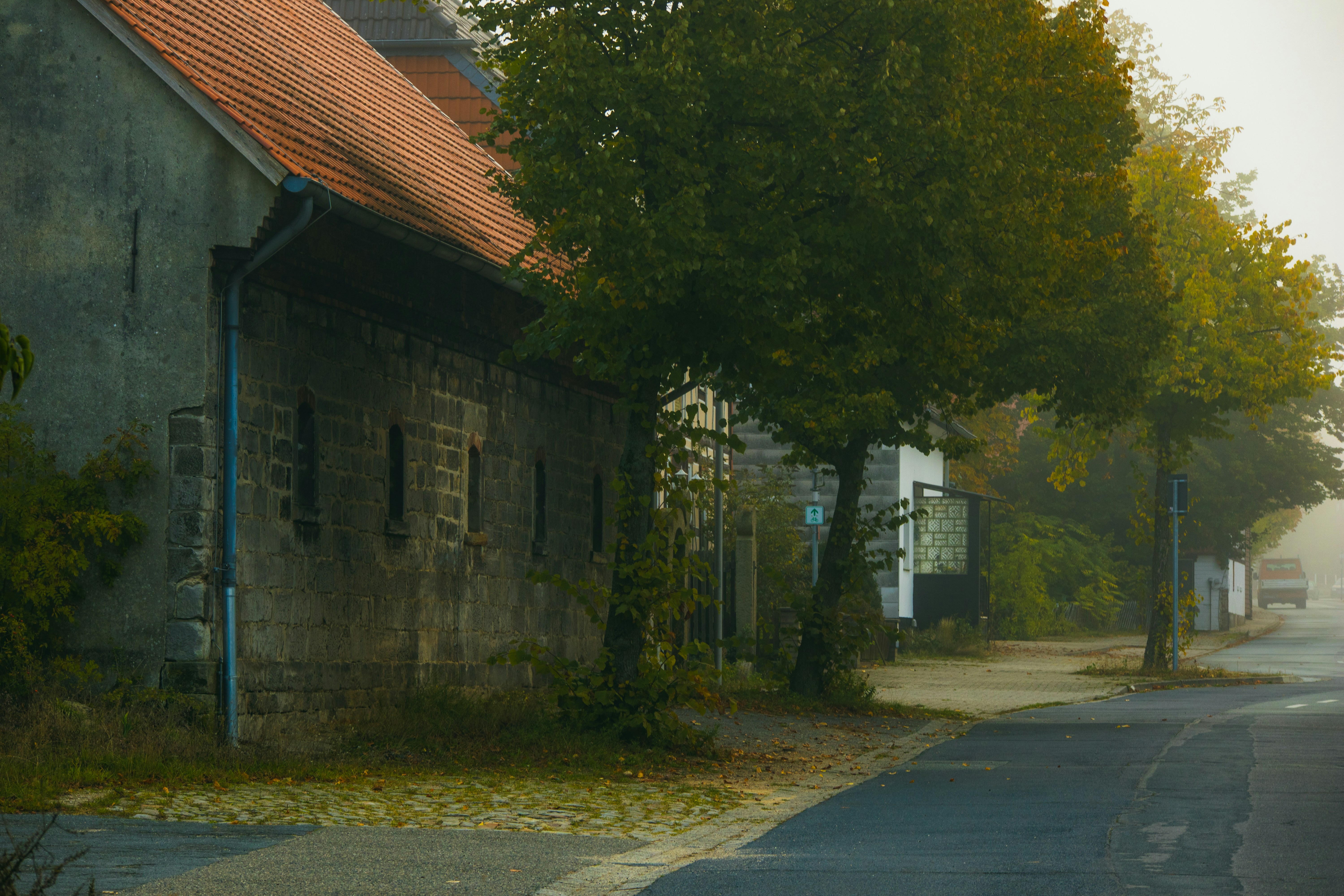 Photo by marko_lengyel