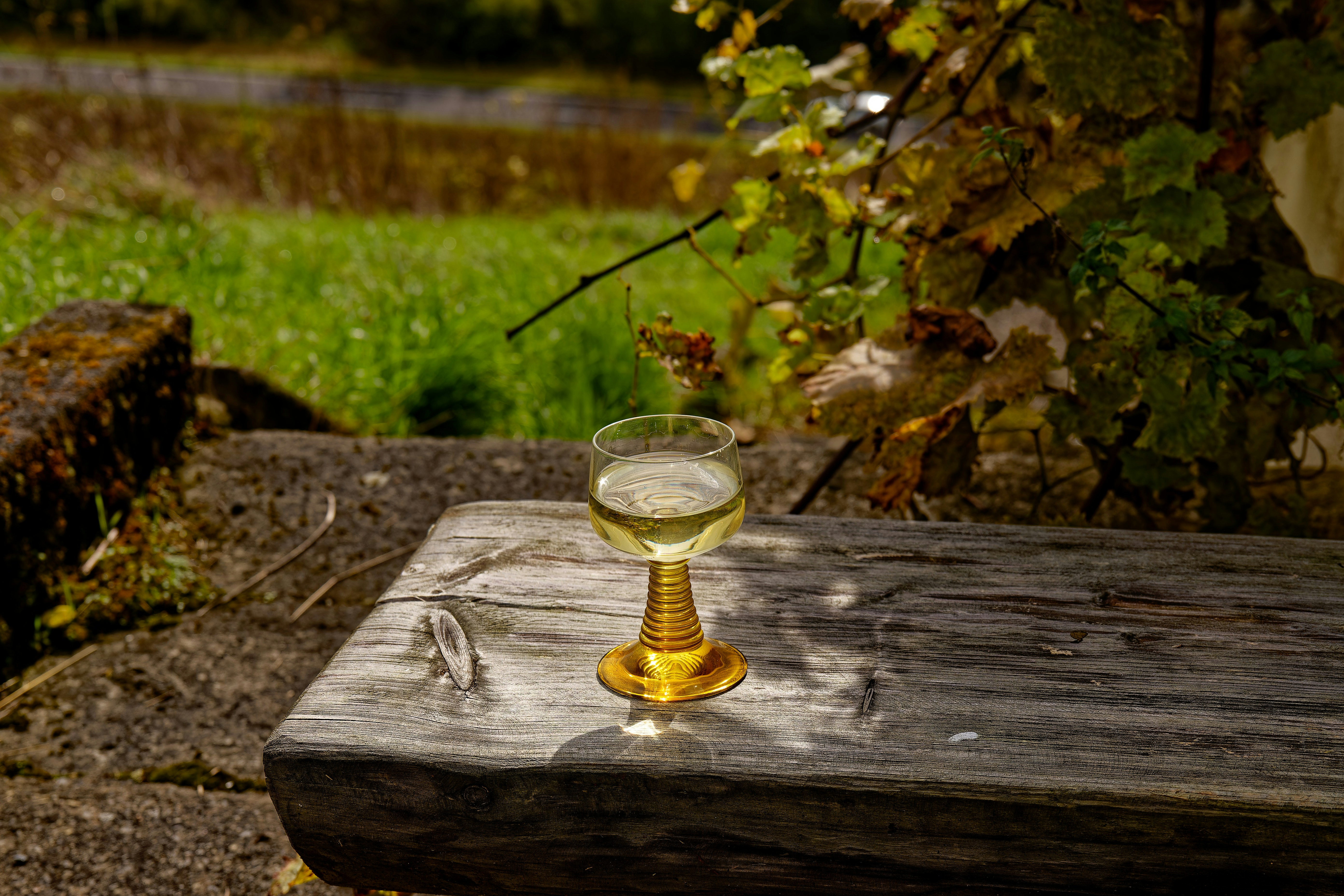 Un tour au Moulin ?