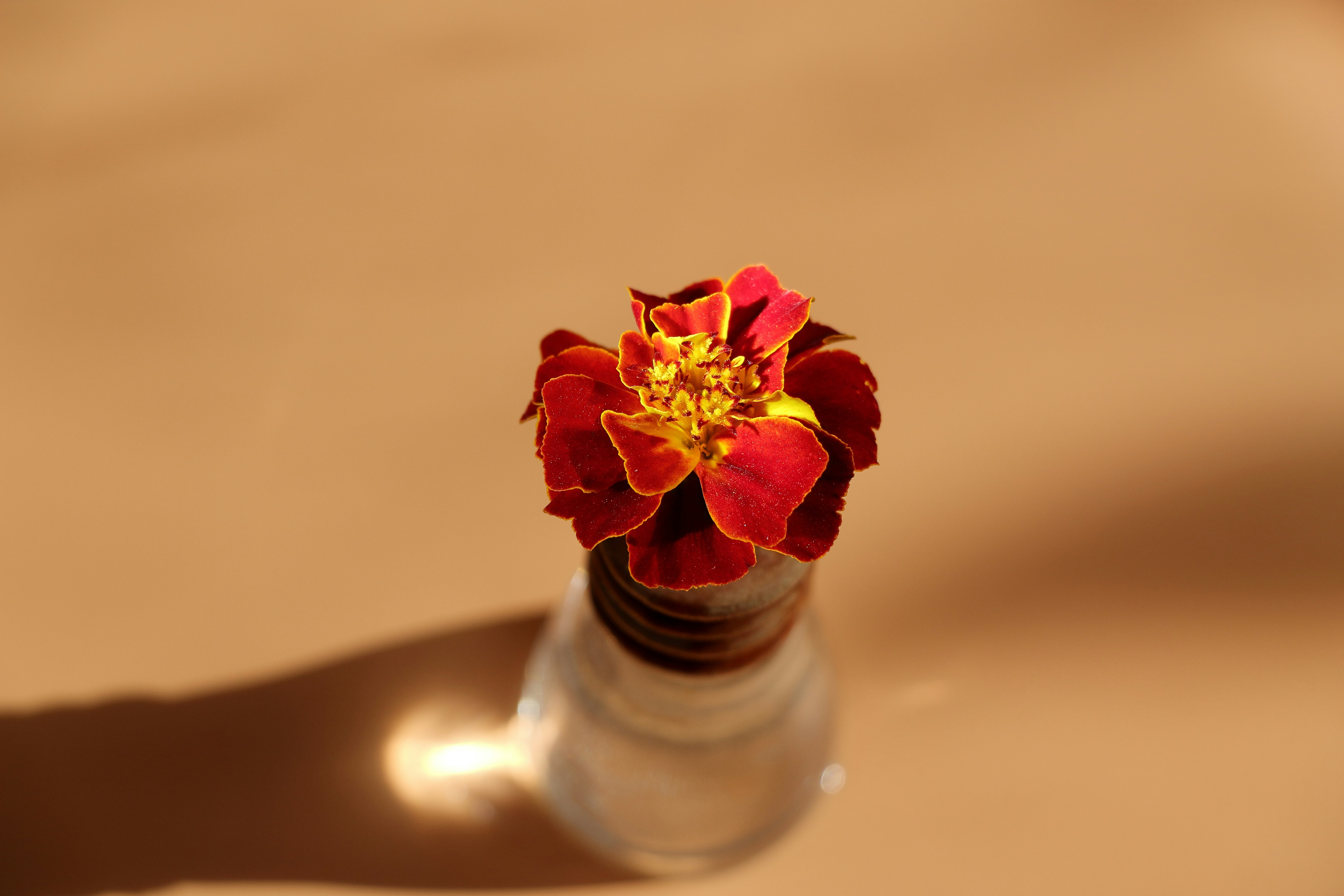 Premium THCA Craft Rosin Unpacked: Origins Extraction ⁣and What Defines Quality