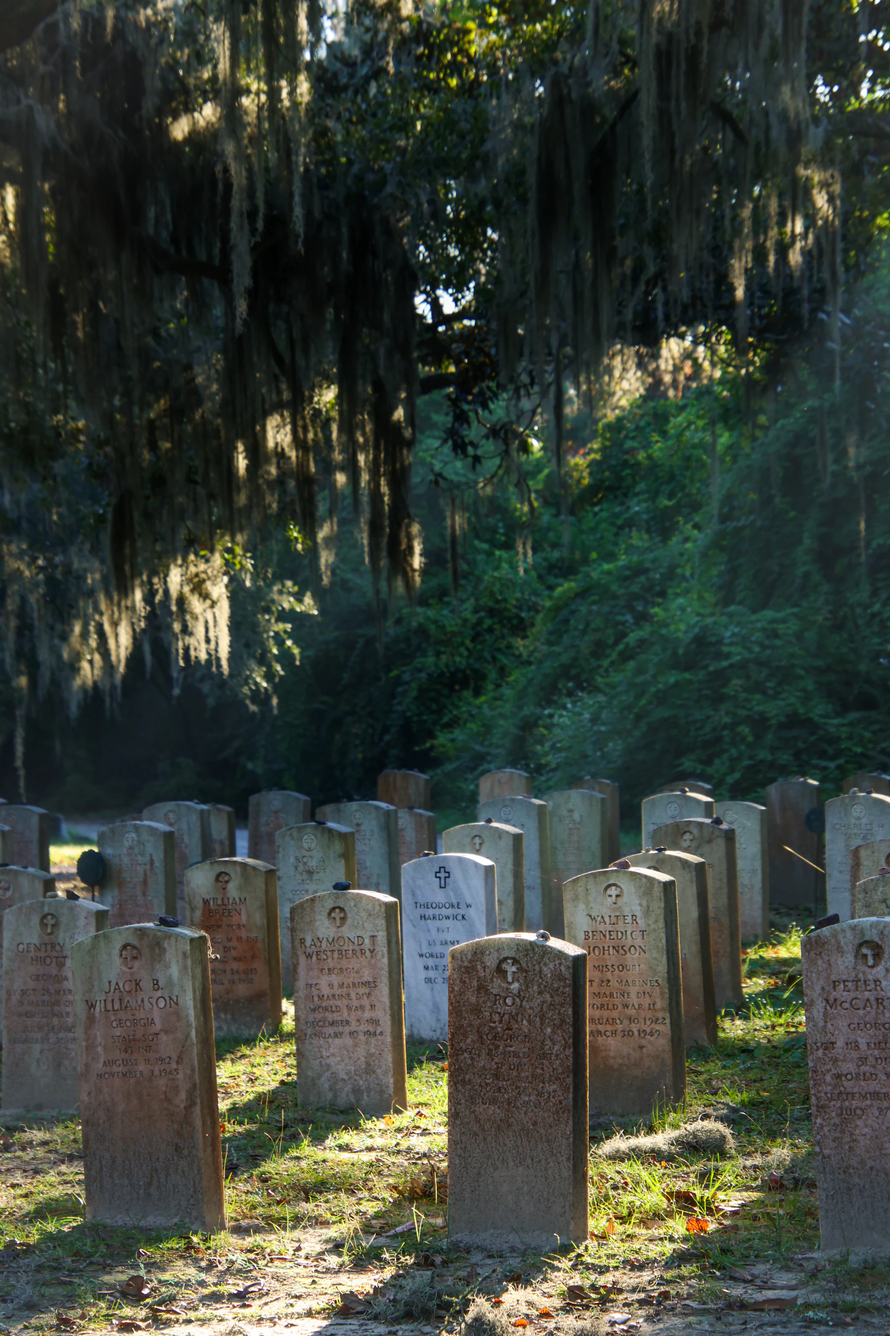 Rows of upright marble grave markers under live oaks hung with Spanish moss, with low sun coming through the trees
