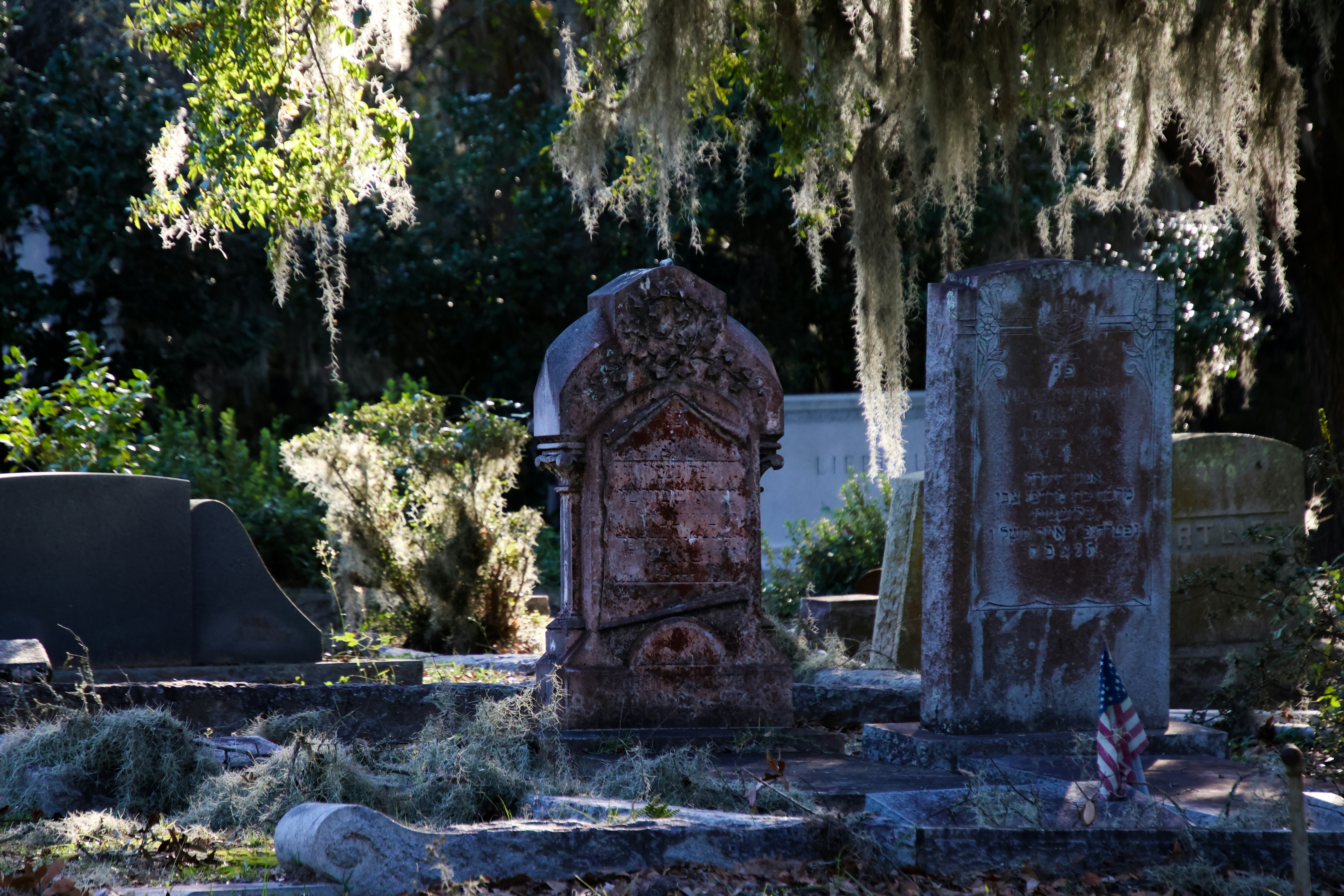 Photo by alla_kemelmakher