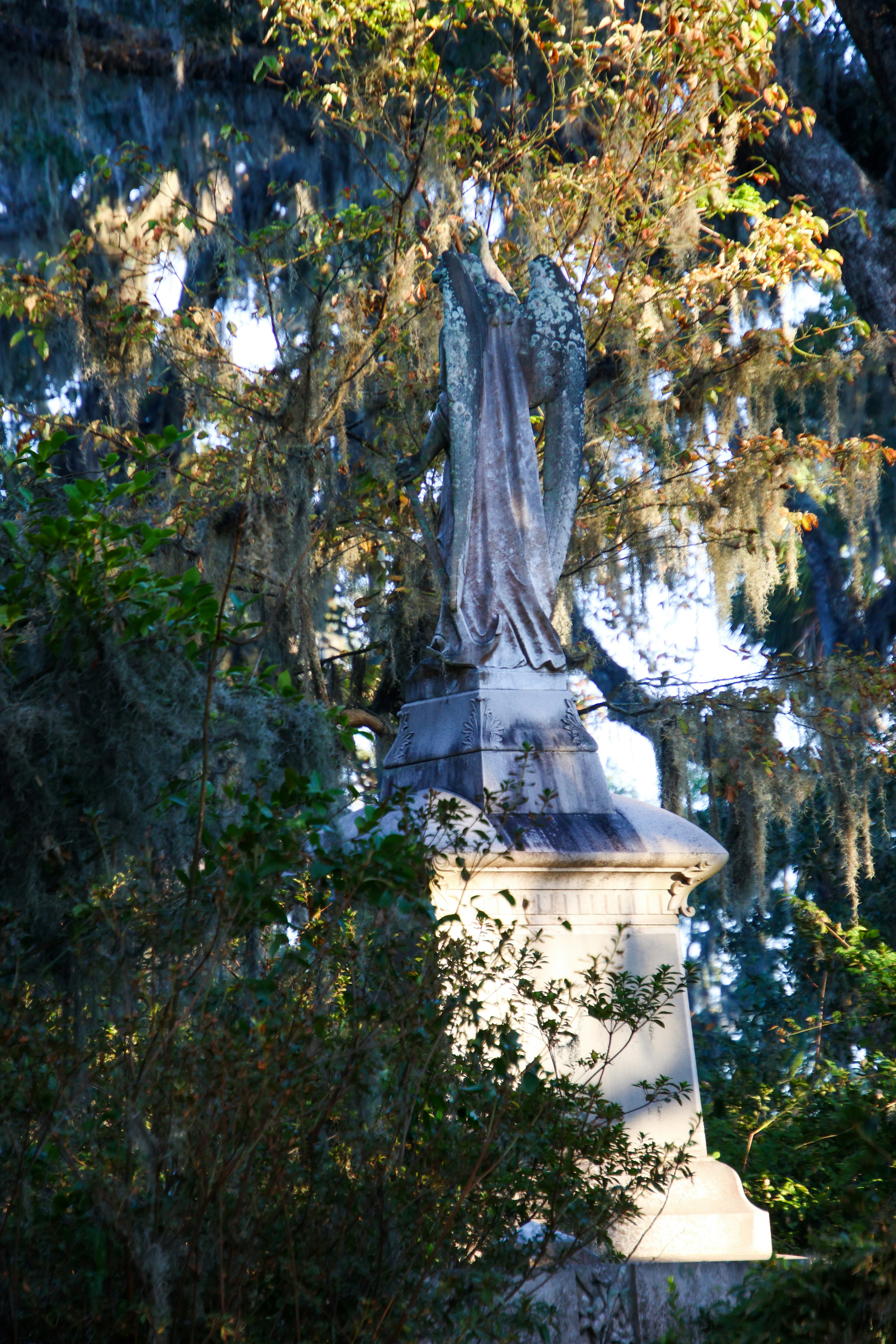 A statue in the middle of a park surrounded by trees
