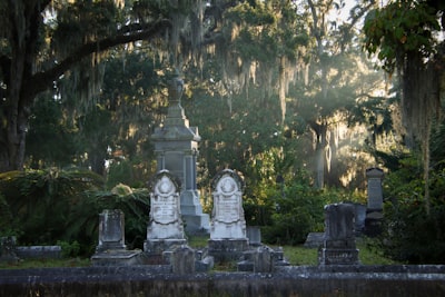 Bonaventure Cemetery