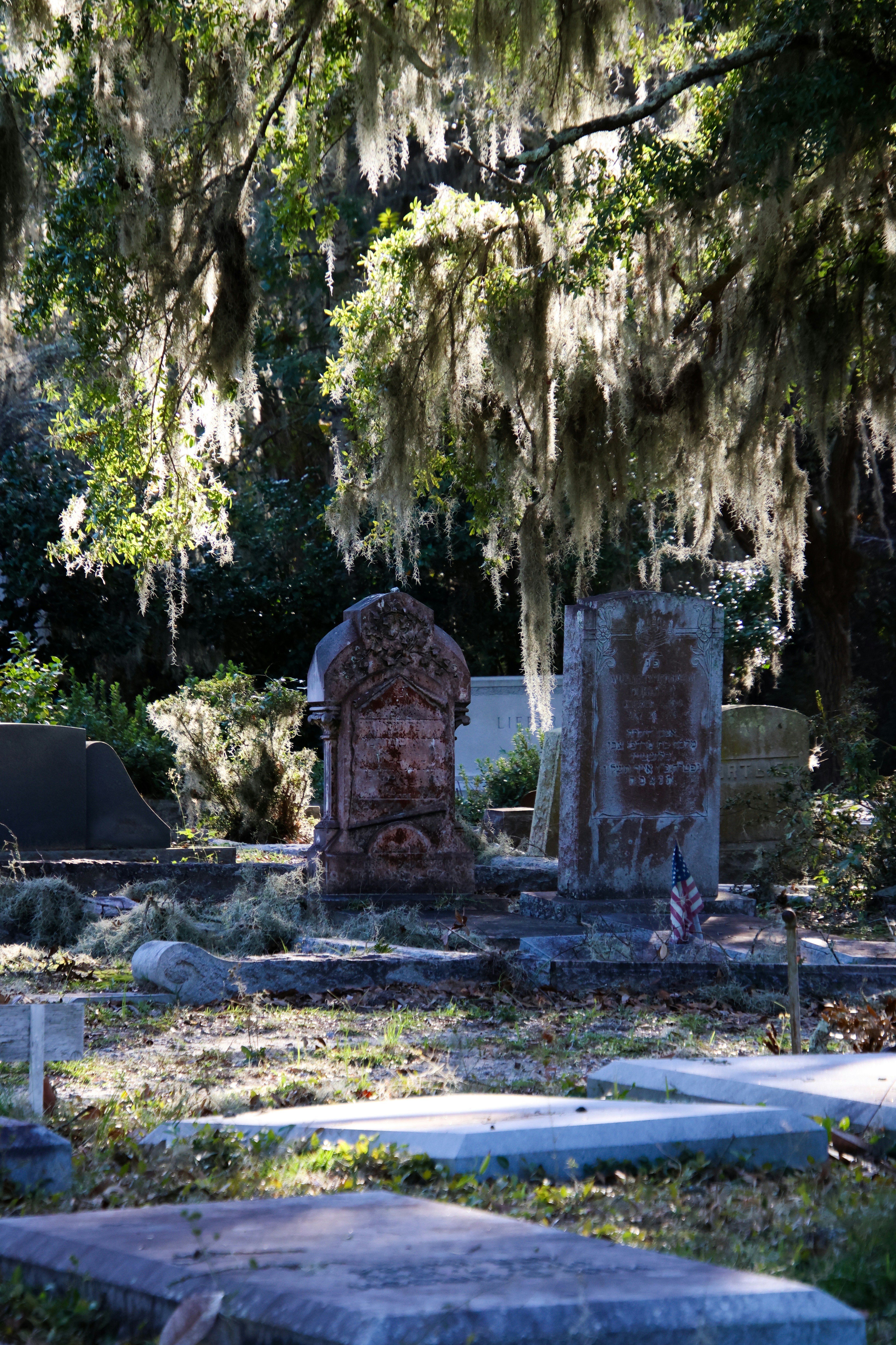 A cemetery with moss growing on the trees