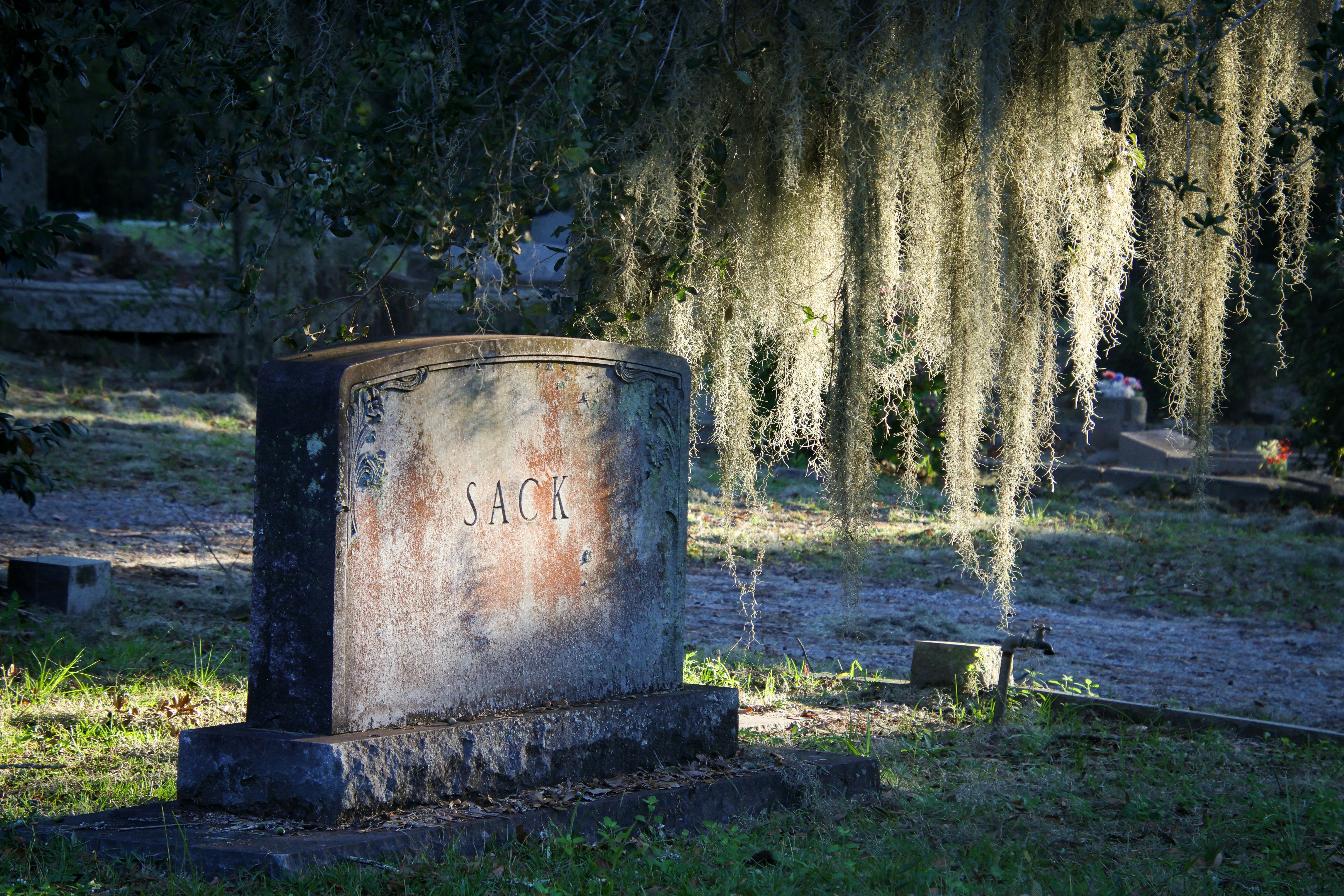 A cemetery with moss growing on the trees