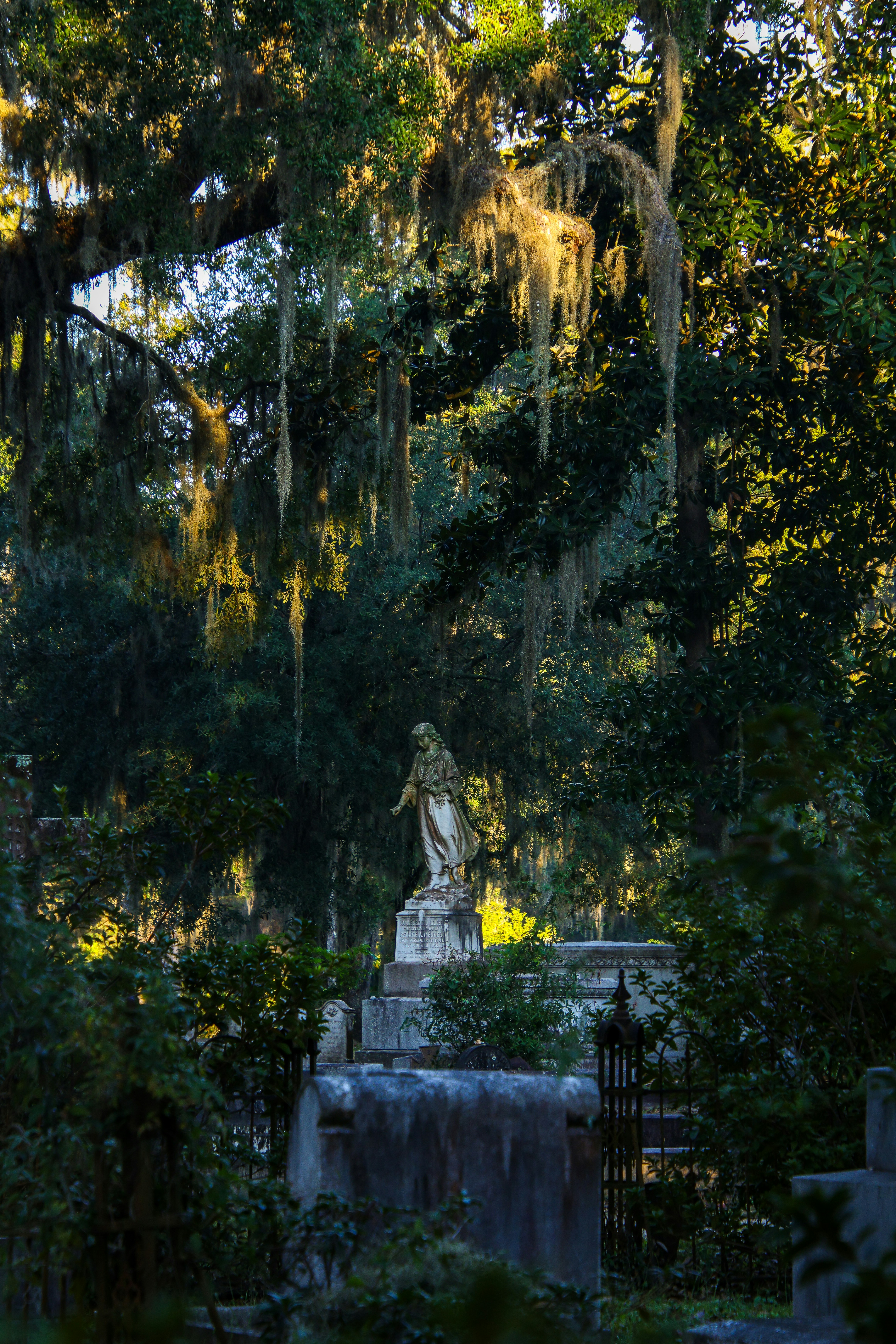 Bonaventure Cemetery photo 3