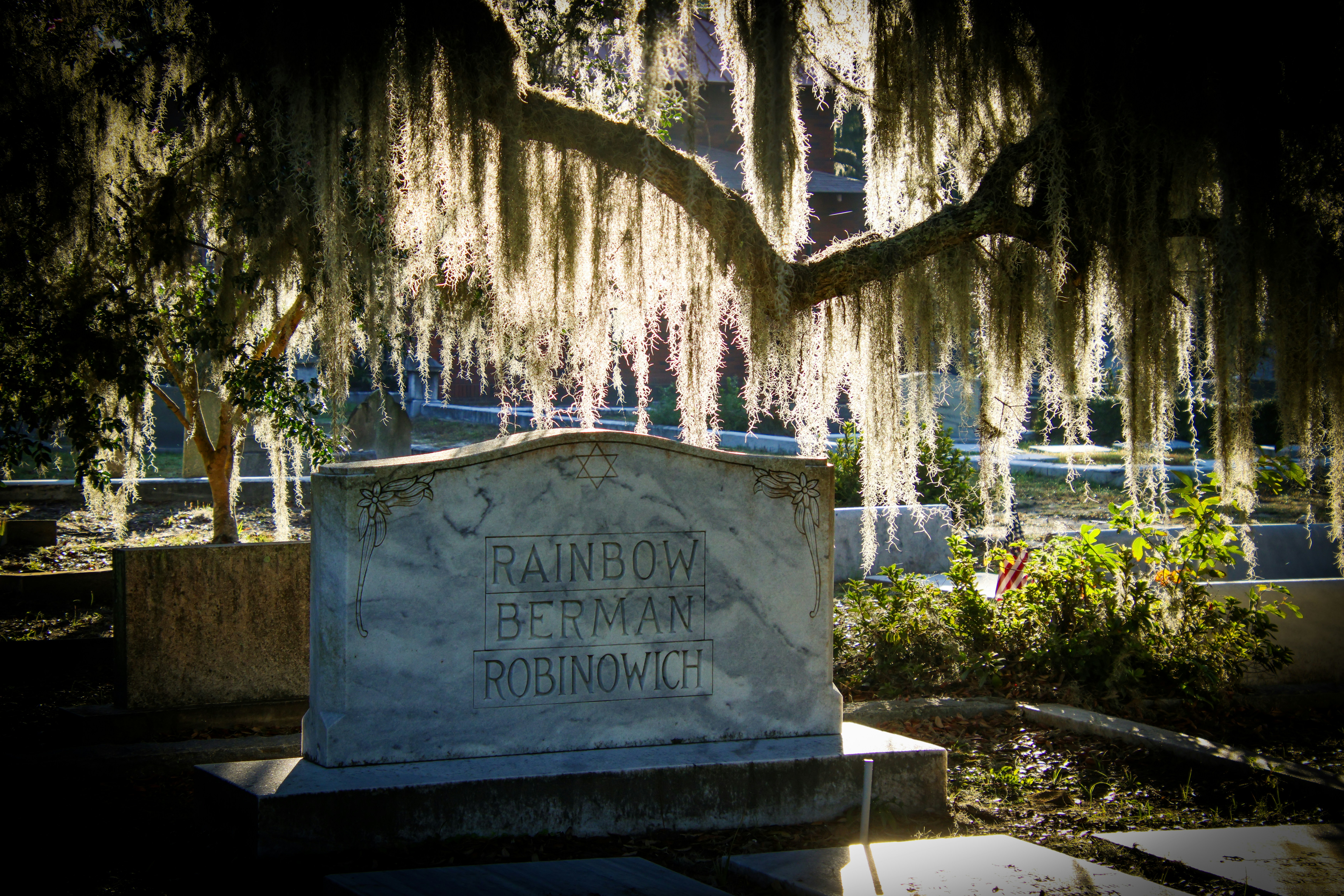 Jewish Cemetery photo 3