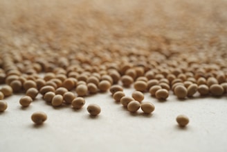 A group of small balls of brown stuff on a white surface