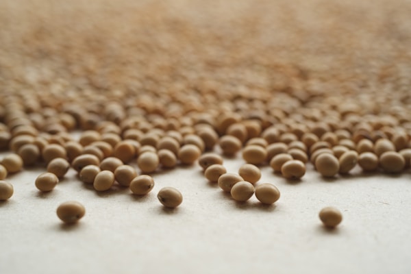 A group of small balls of brown stuff on a white surface