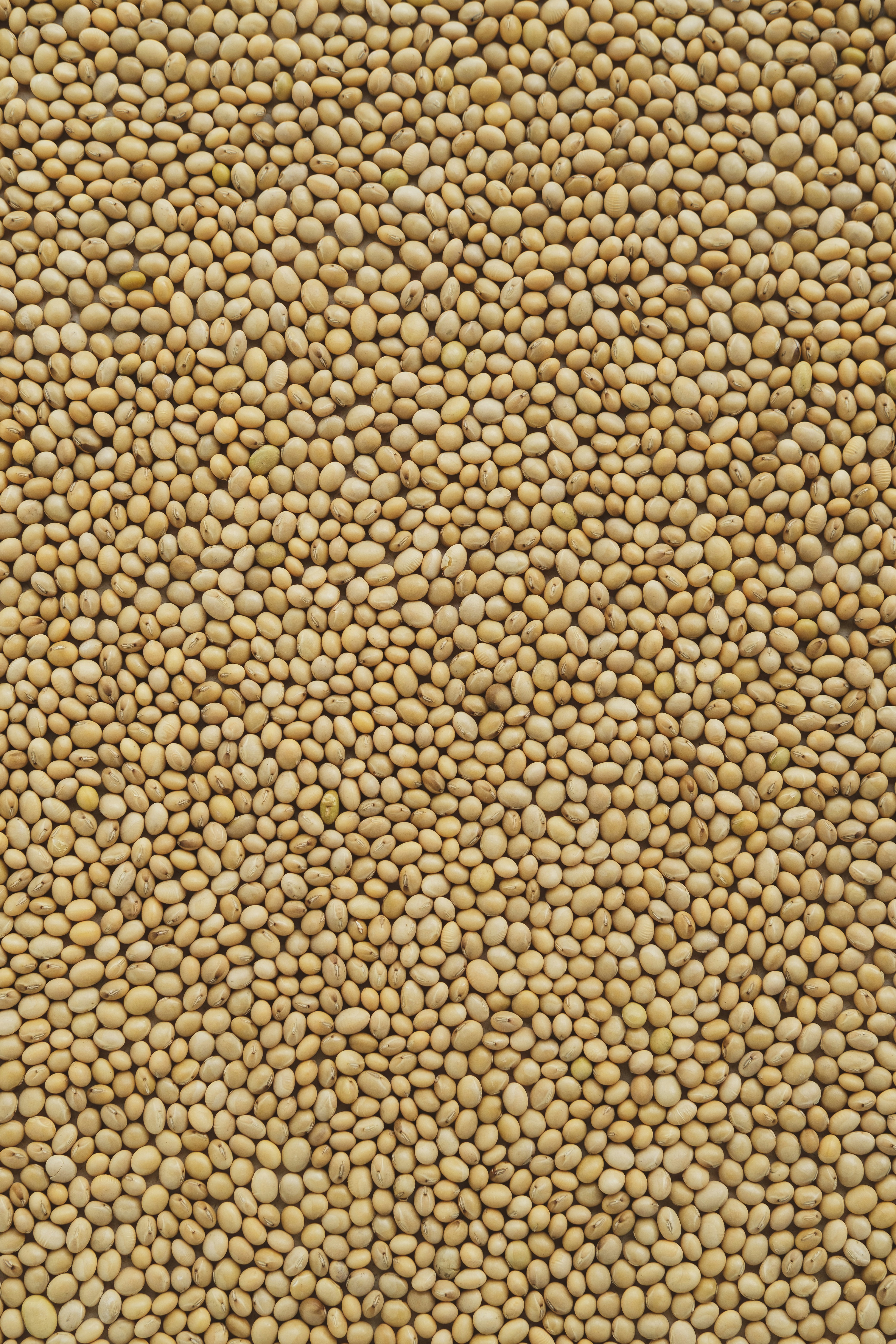 Photo by 360floralflaves