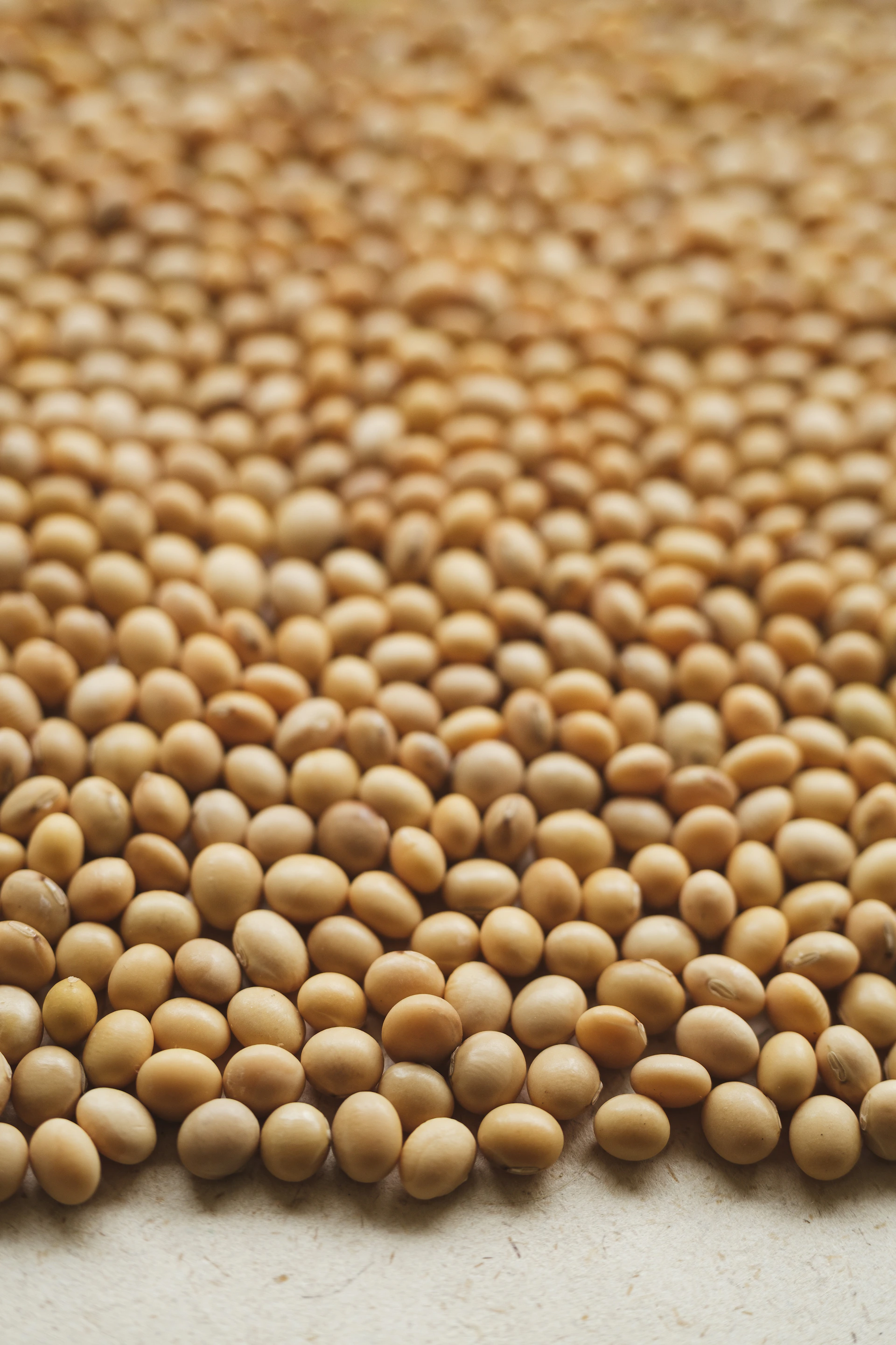 A close up of a bunch of beans on a table