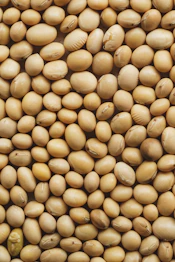 A close up of a pile of nuts