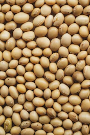 A close up of a pile of nuts