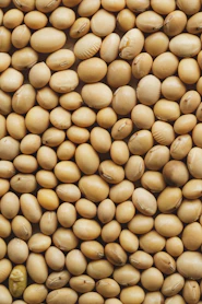 A close up of a pile of nuts