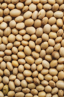 A close up of a pile of nuts