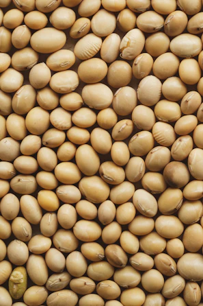 A close up of a pile of nuts